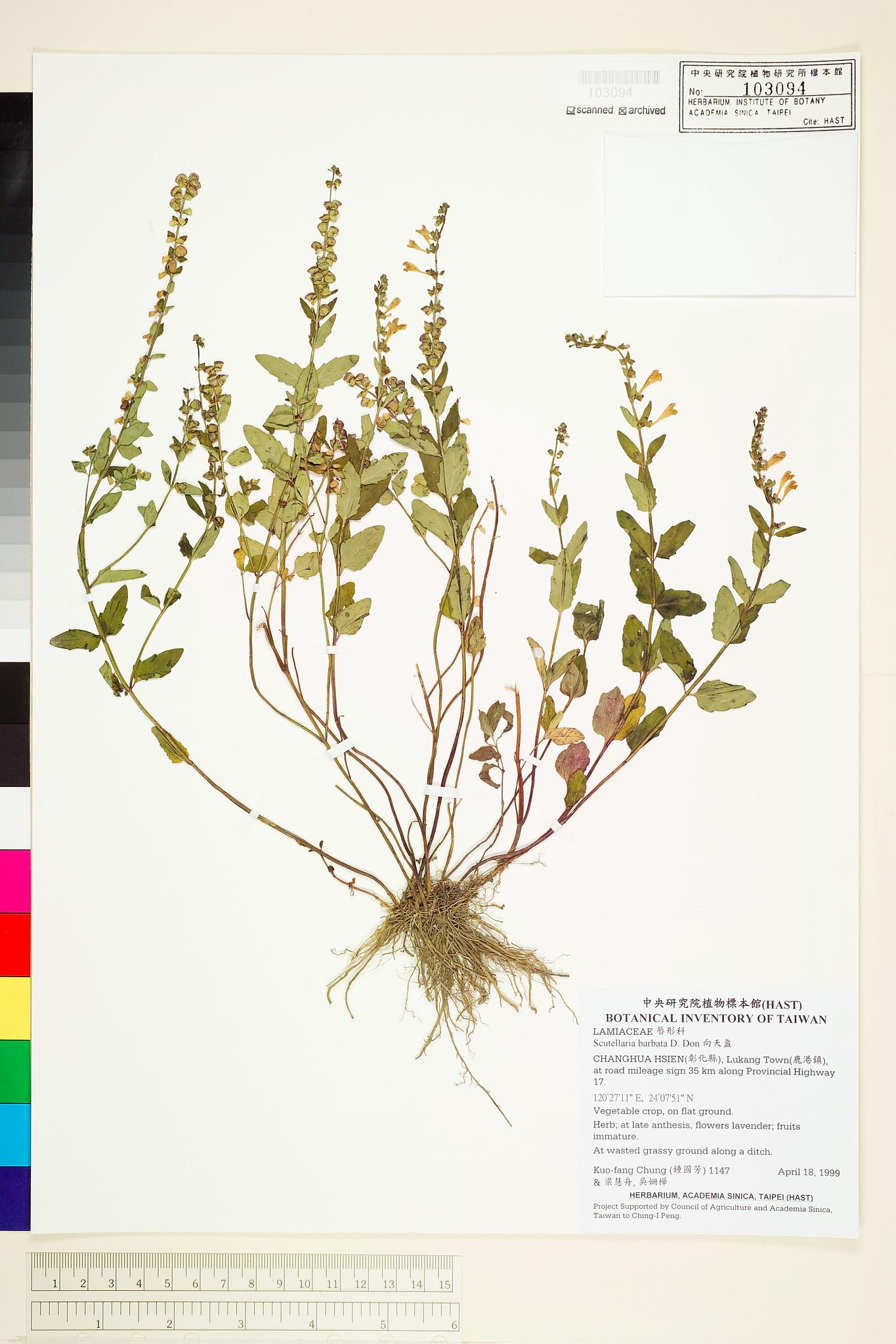 Sample image for viewer