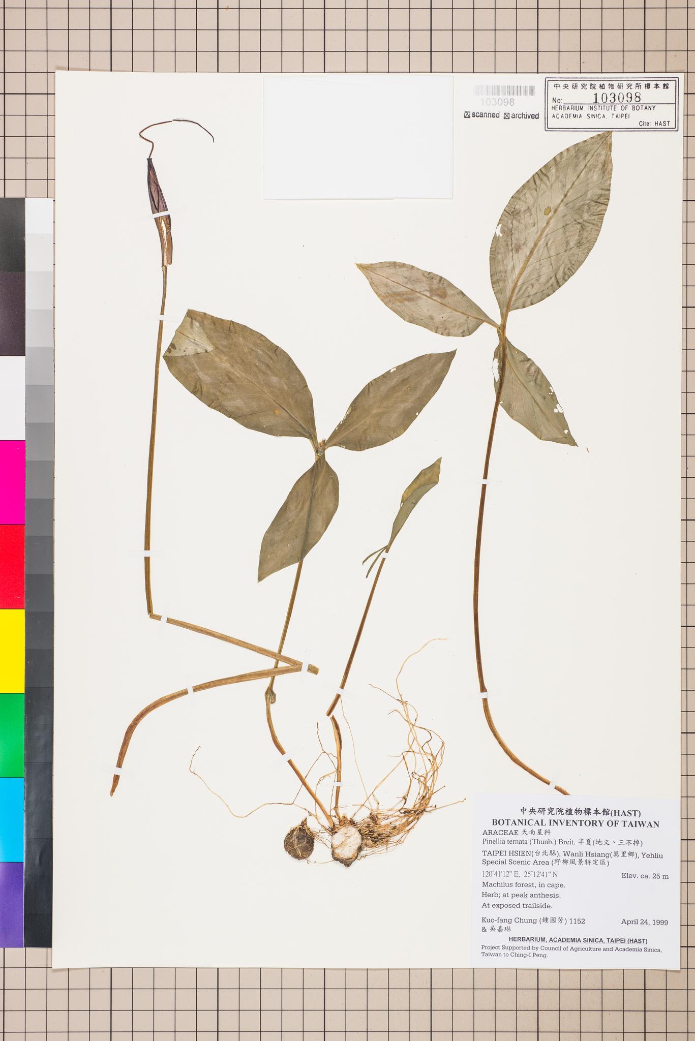 Sample image for viewer