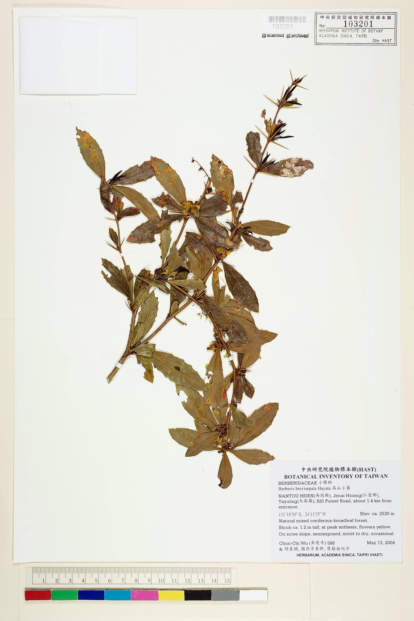 Sample image for viewer