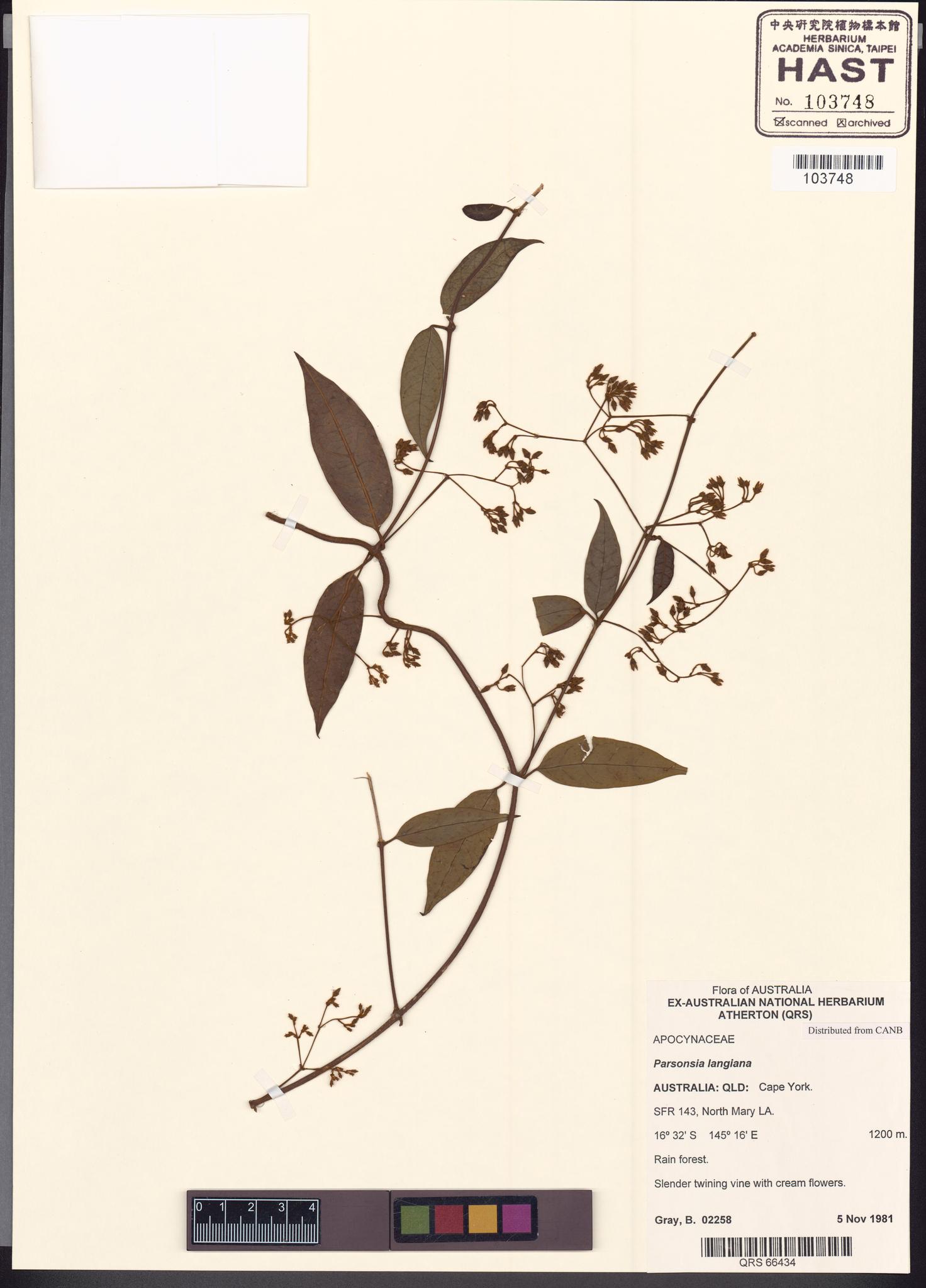 Sample image for viewer