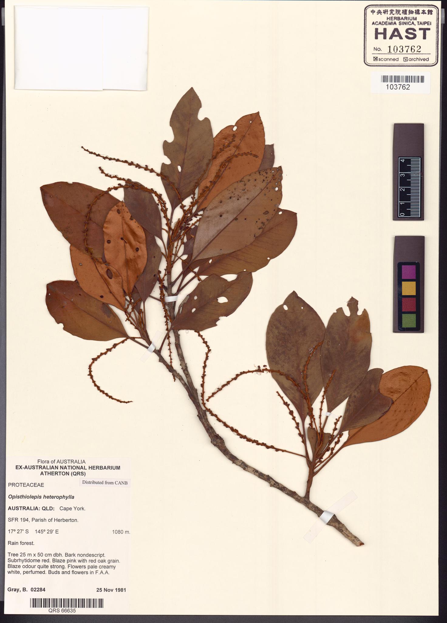 Sample image for viewer