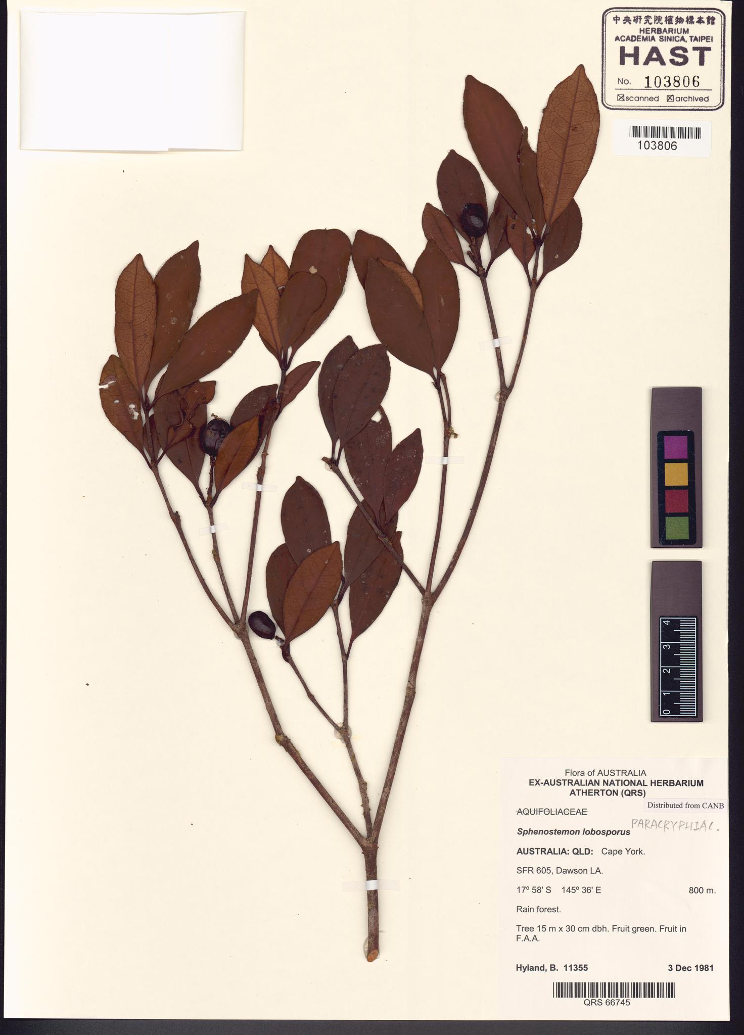 Sample image for viewer