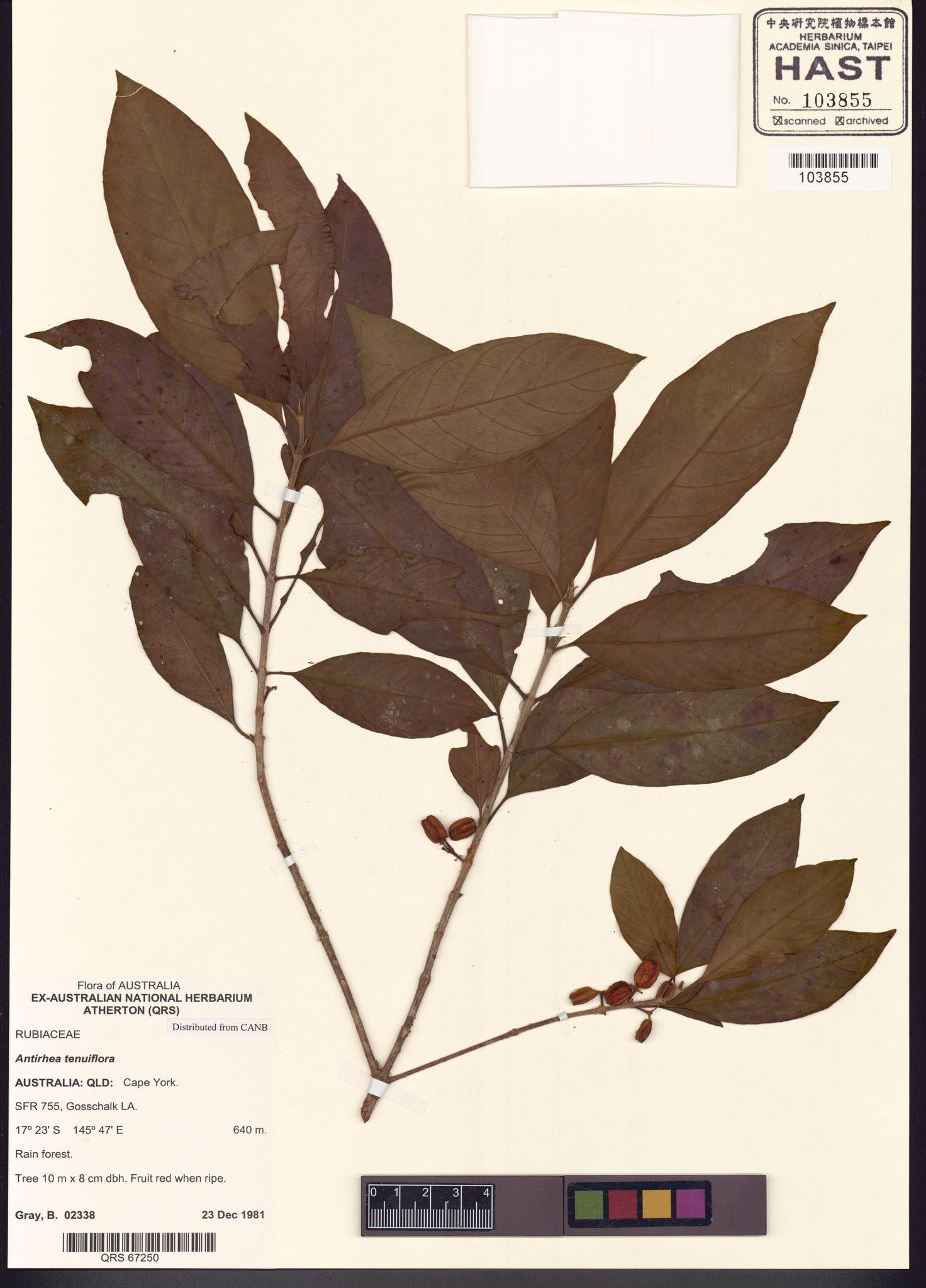 Sample image for viewer