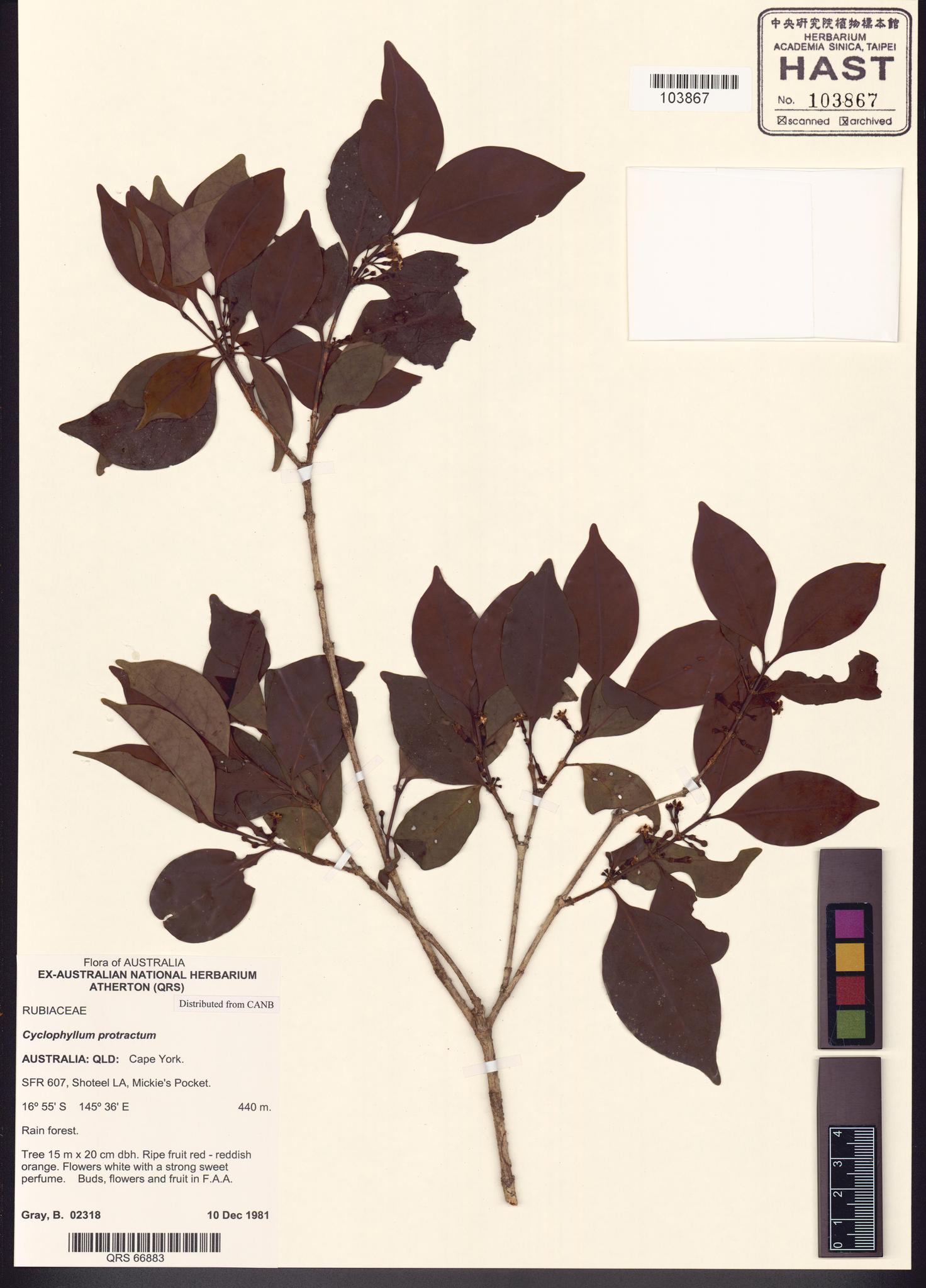 Sample image for viewer