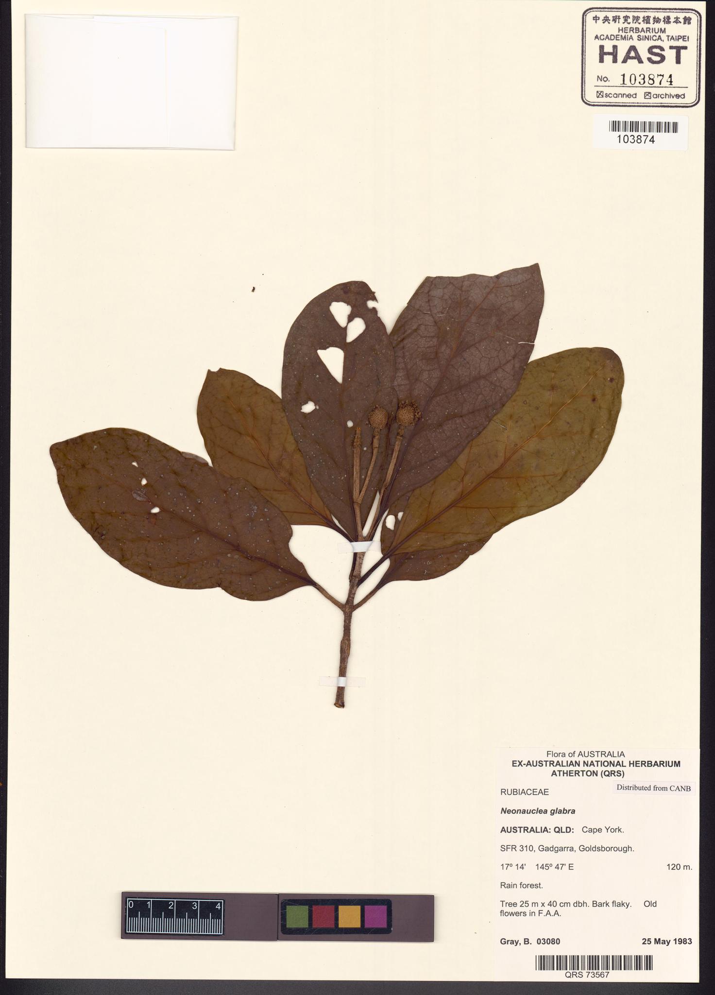 Sample image for viewer