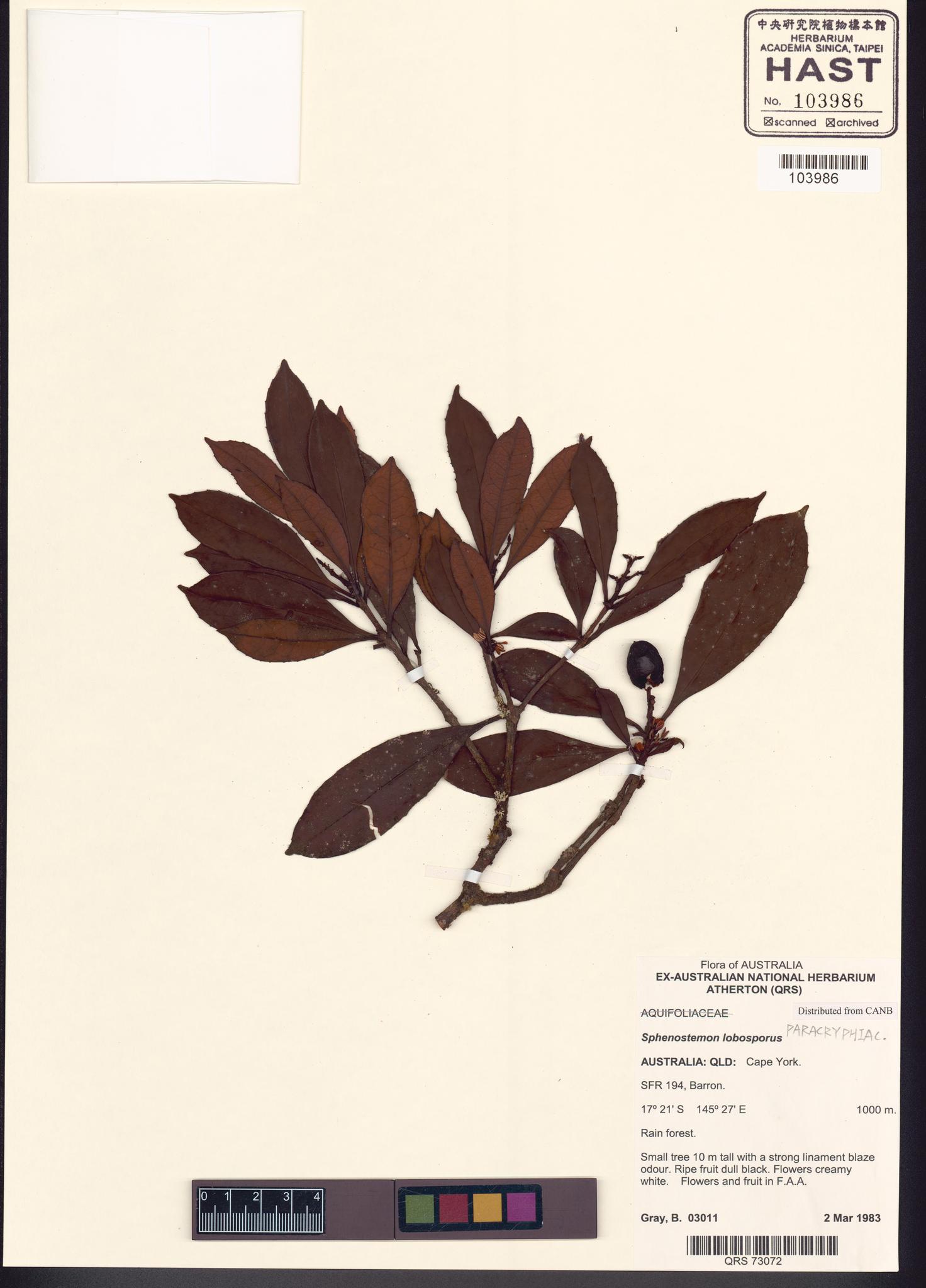 Sample image for viewer