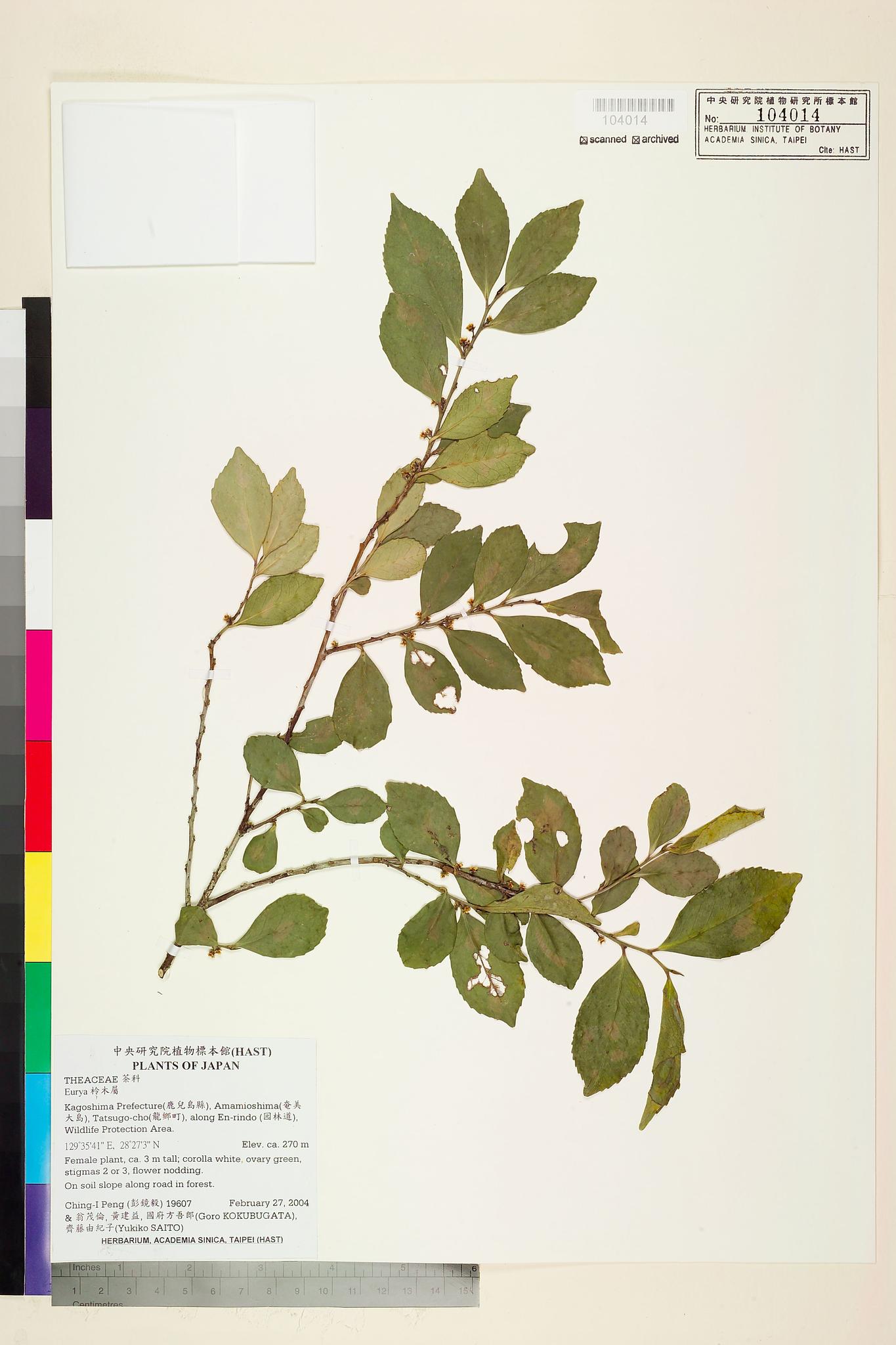 Sample image for viewer