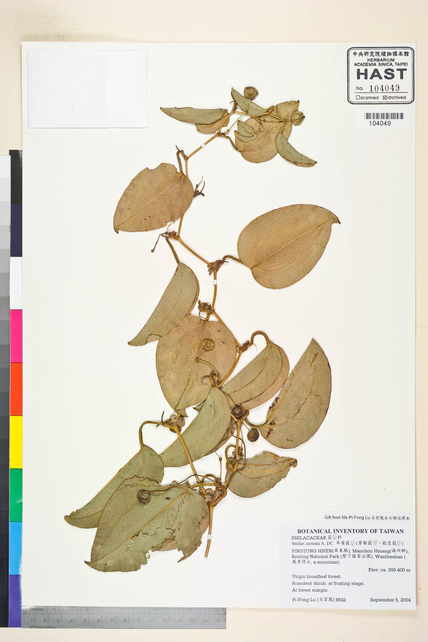 Sample image for viewer