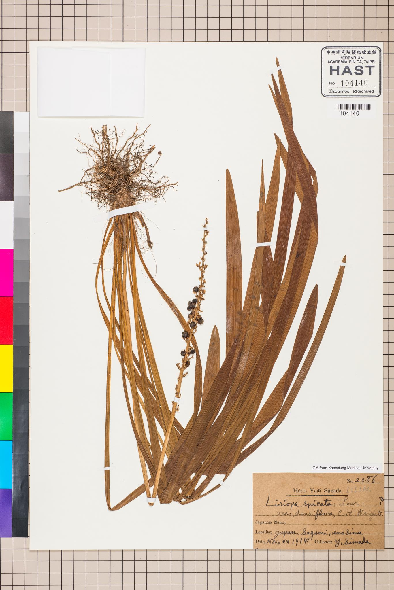 Sample image for viewer