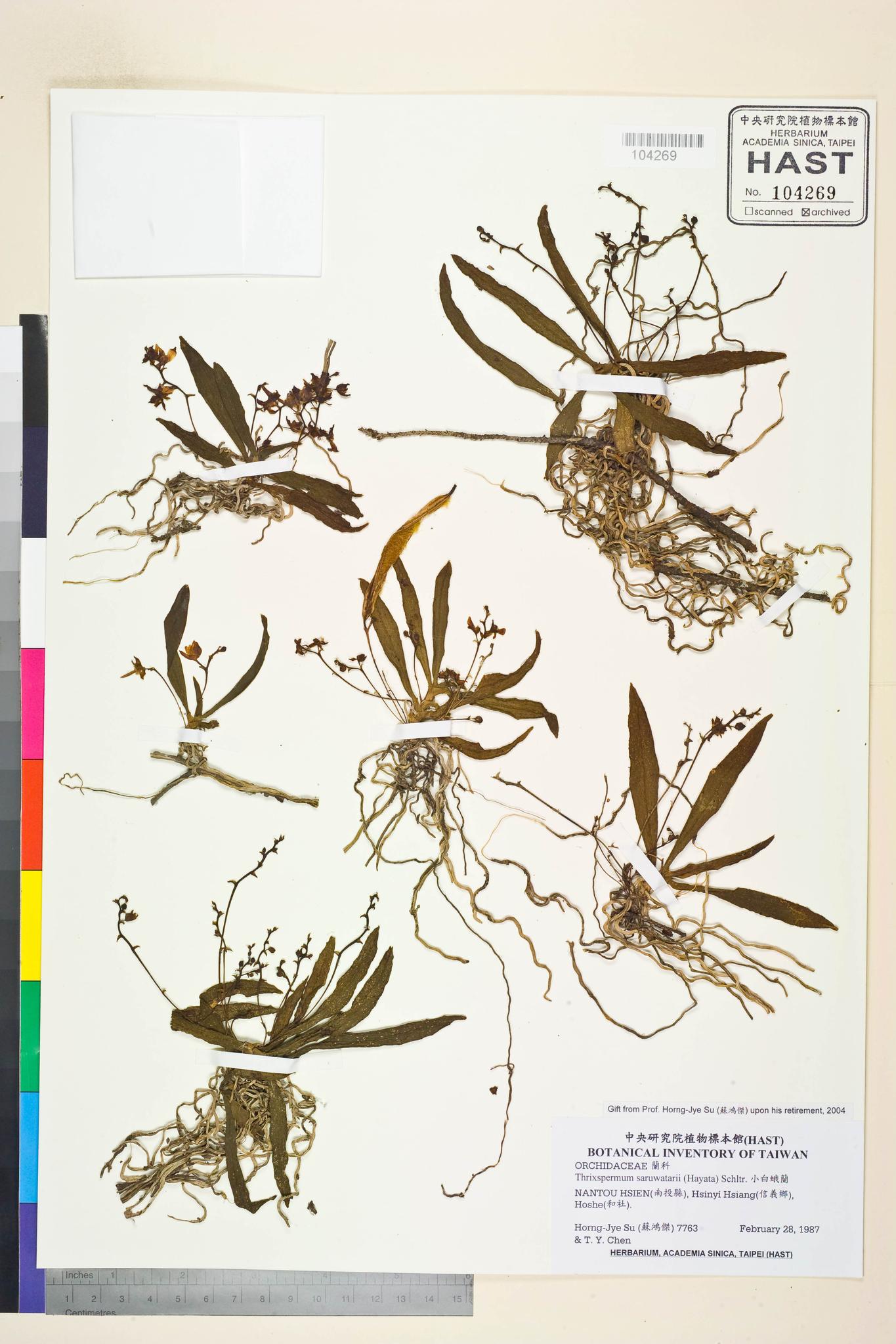 Sample image for viewer