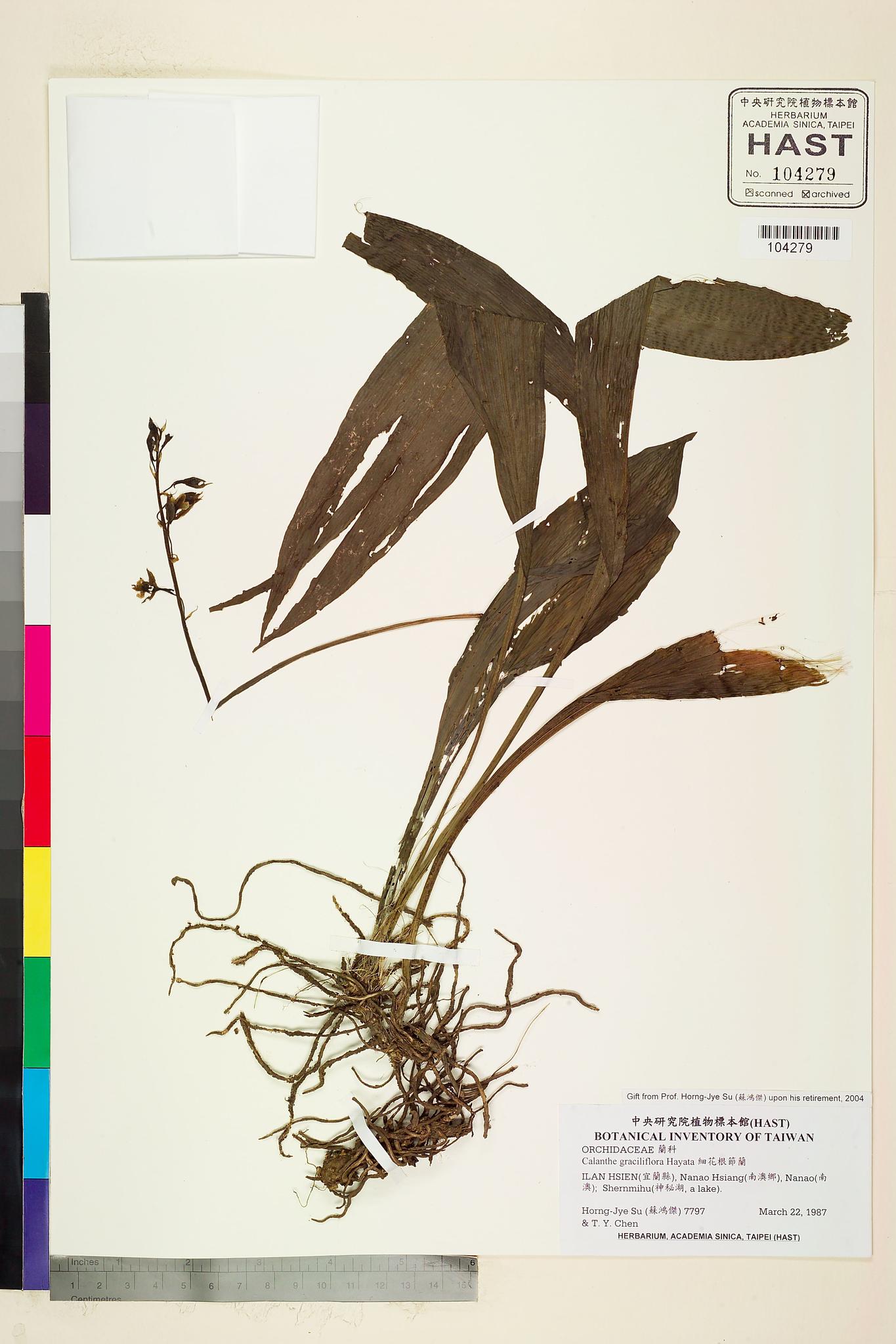 Sample image for viewer