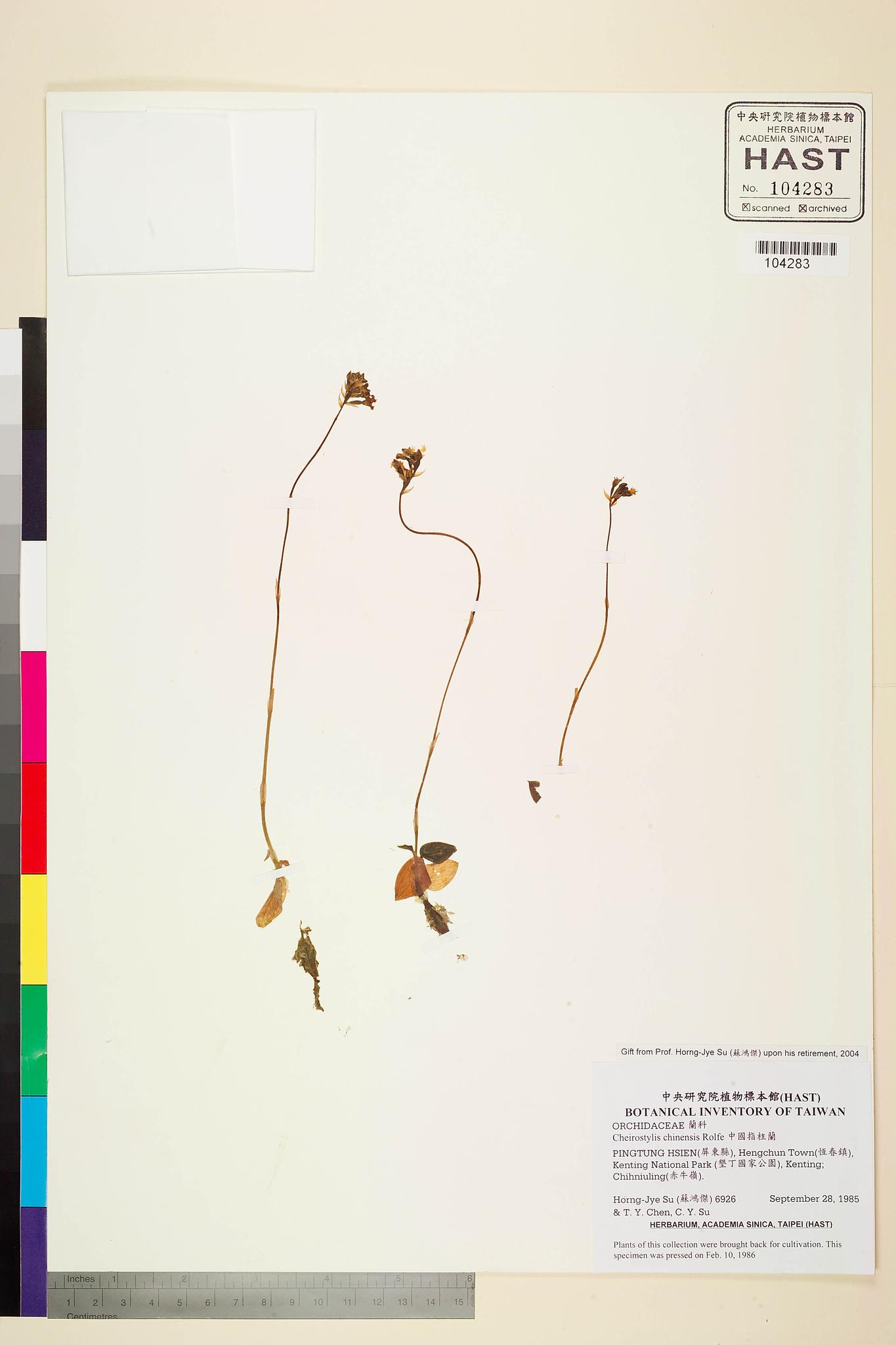 Sample image for viewer