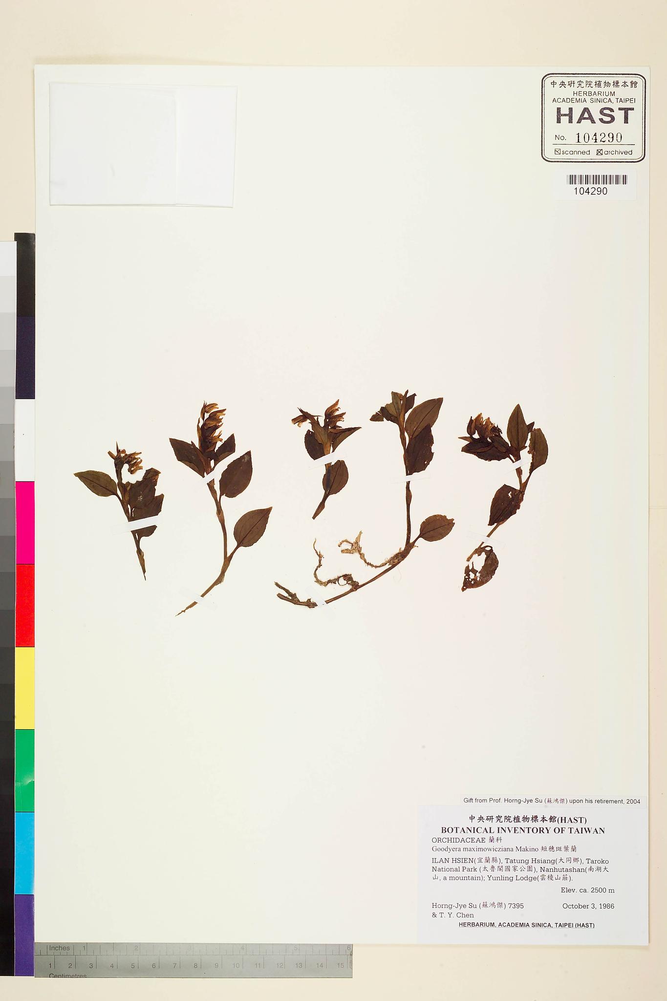 Sample image for viewer