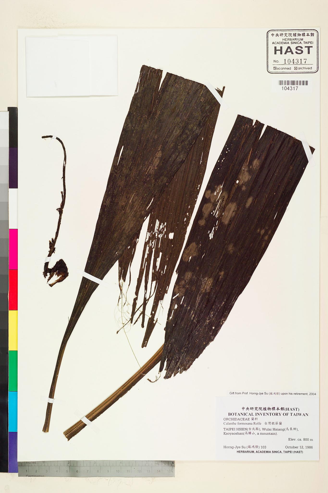 Sample image for viewer