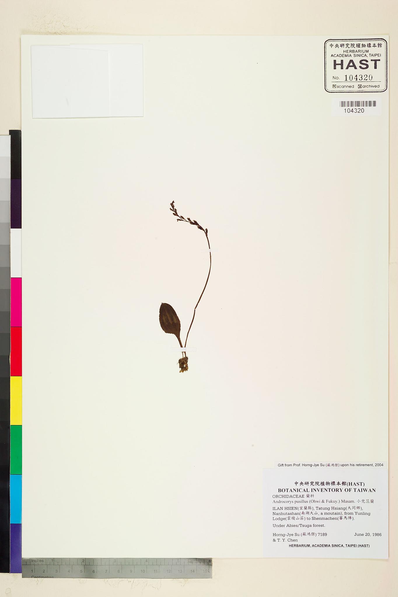 Sample image for viewer