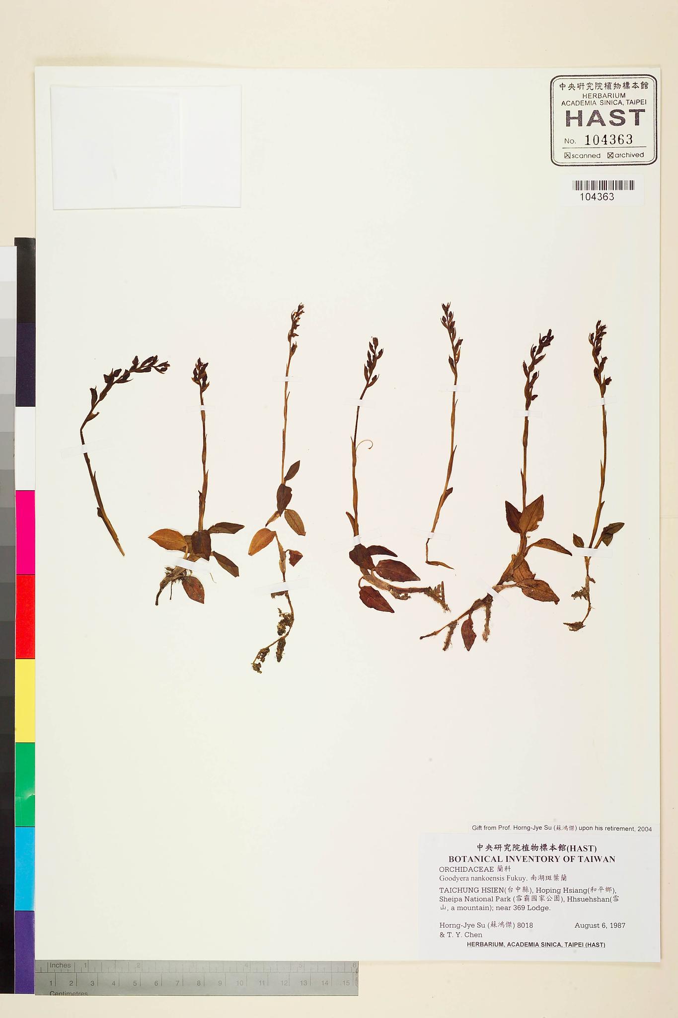 Sample image for viewer