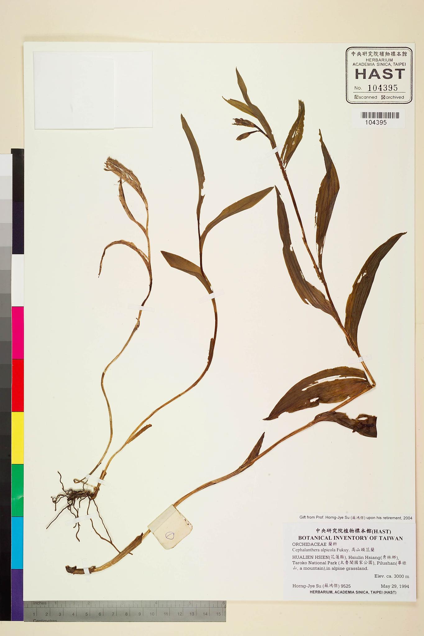 Sample image for viewer