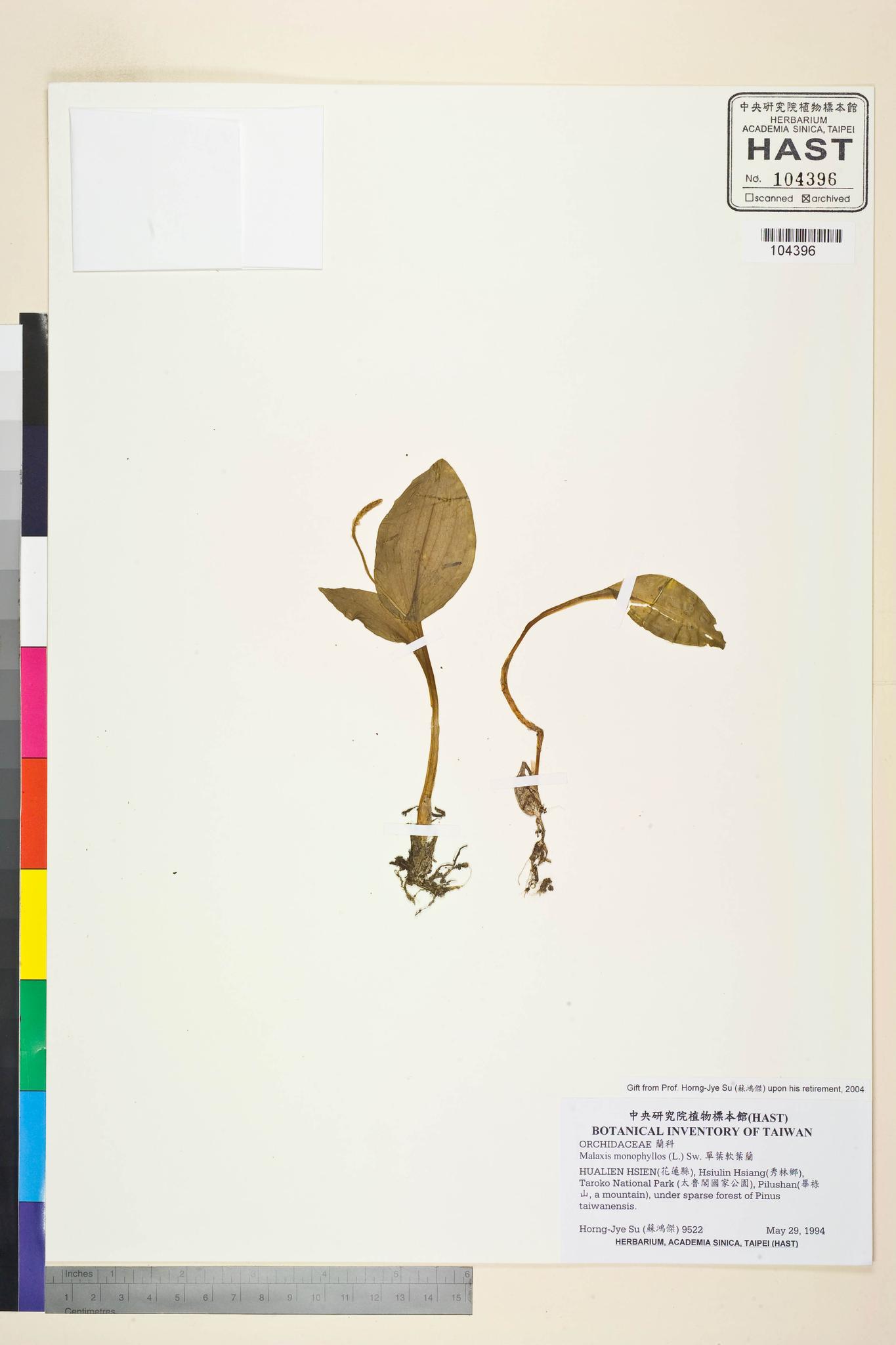 Sample image for viewer