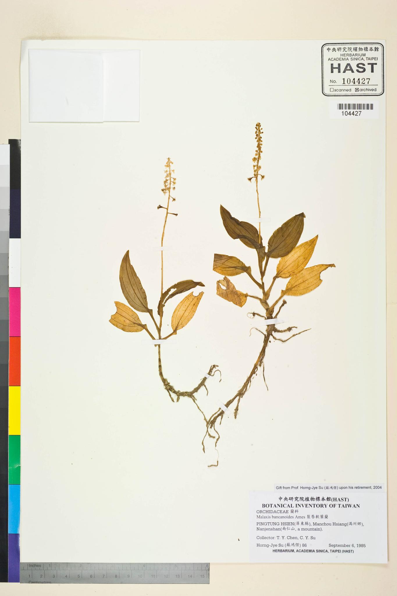 Sample image for viewer