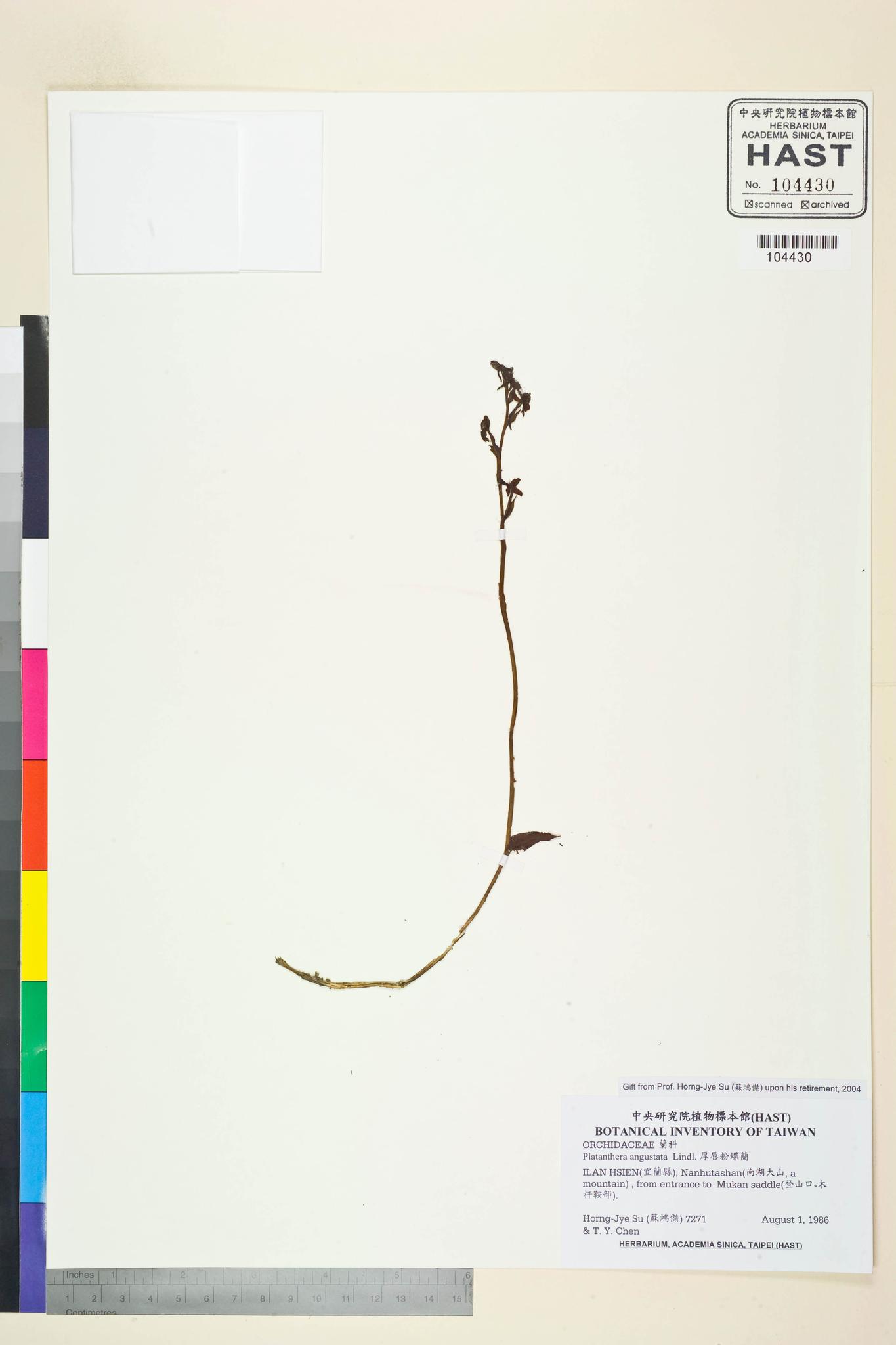 Sample image for viewer