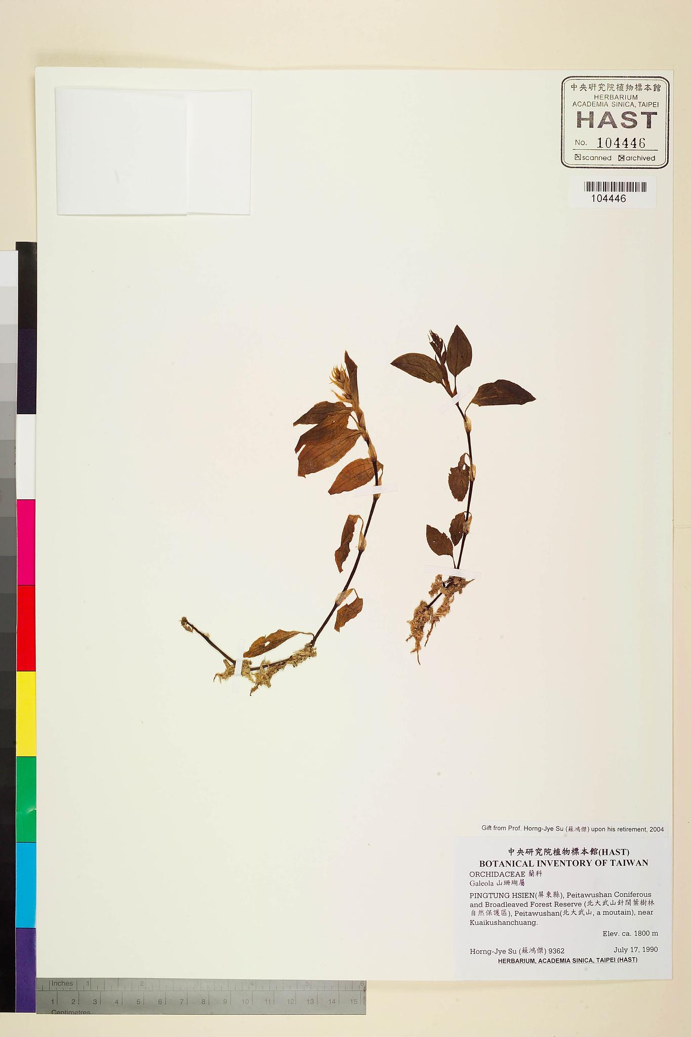 Sample image for viewer