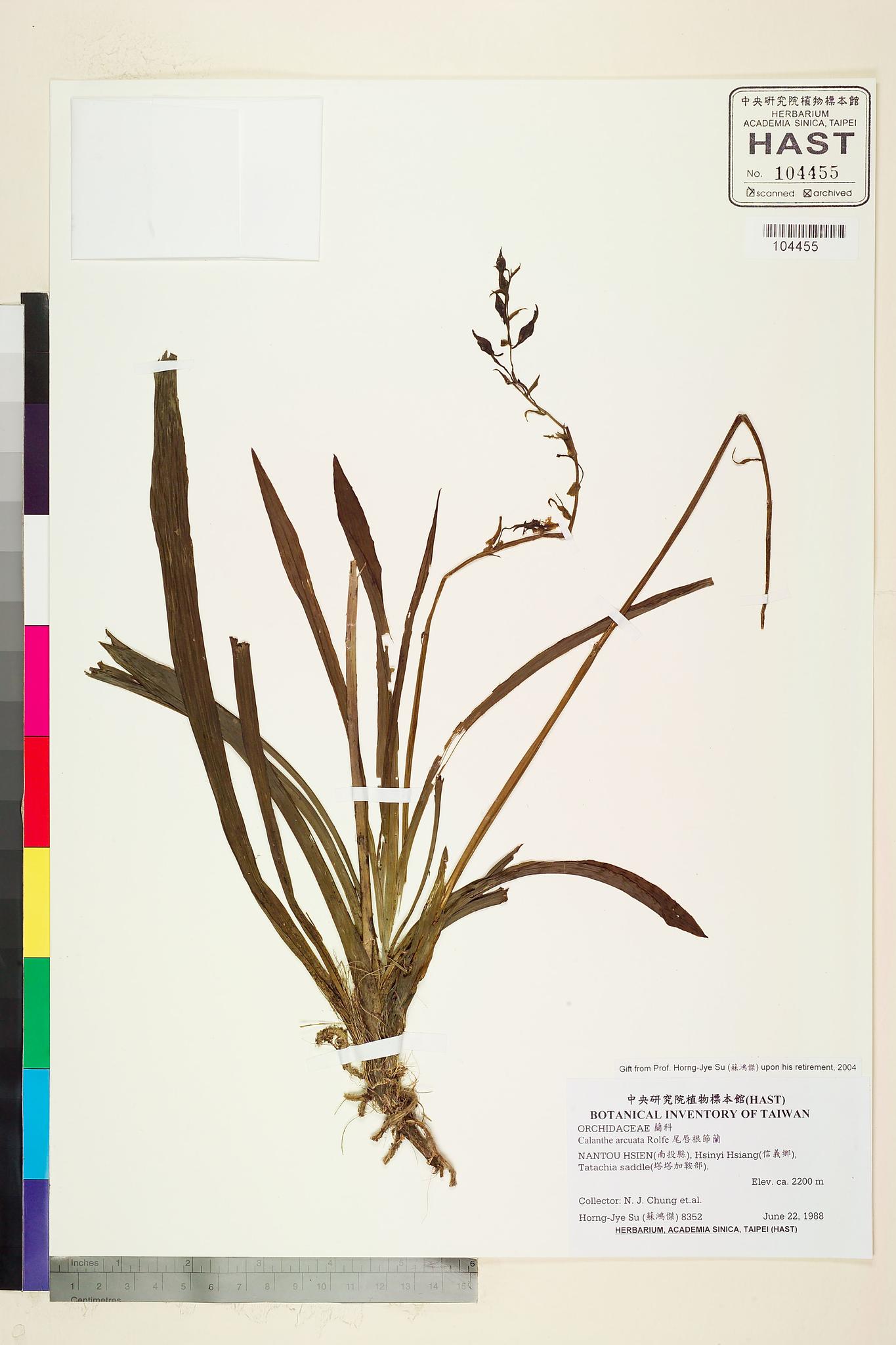 Sample image for viewer