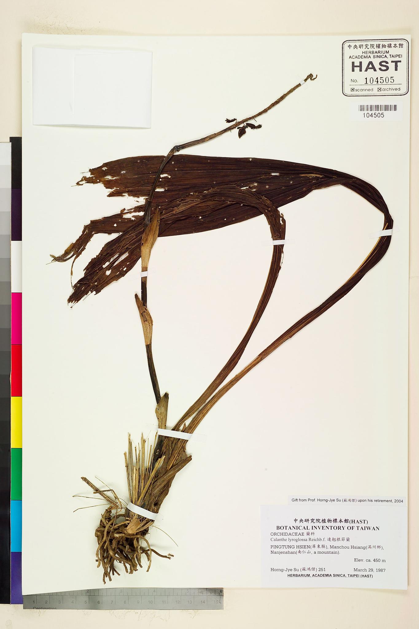 Sample image for viewer