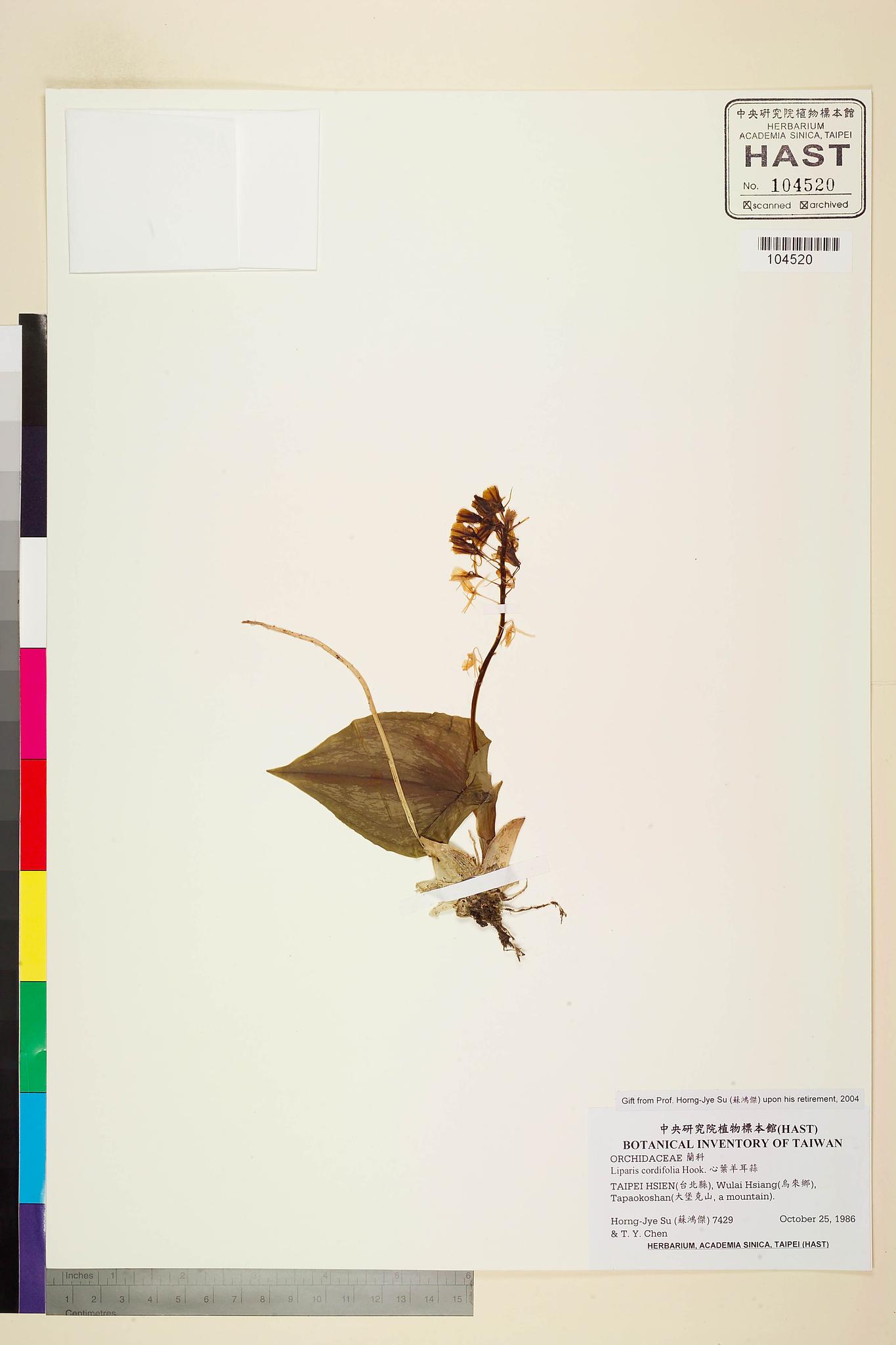 Sample image for viewer