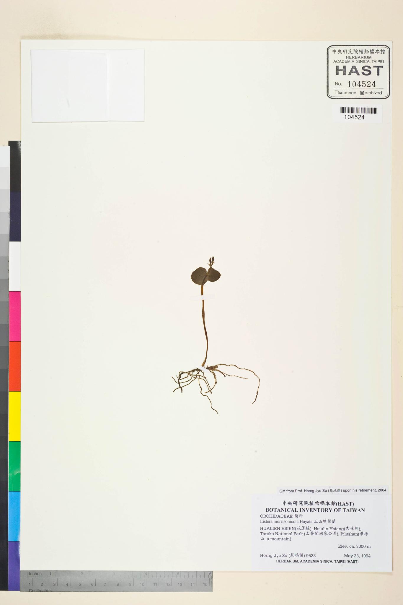 Sample image for viewer