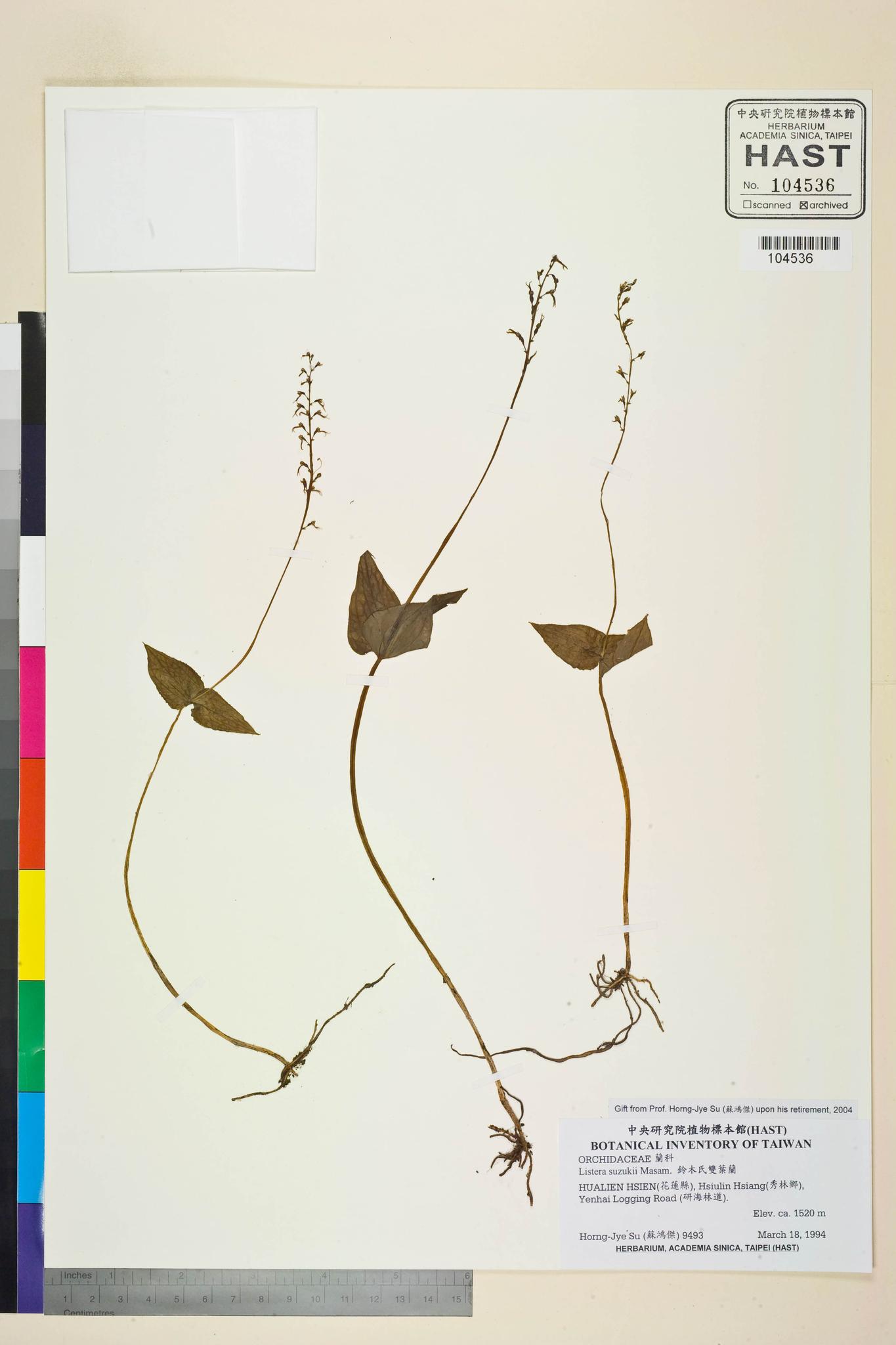 Sample image for viewer