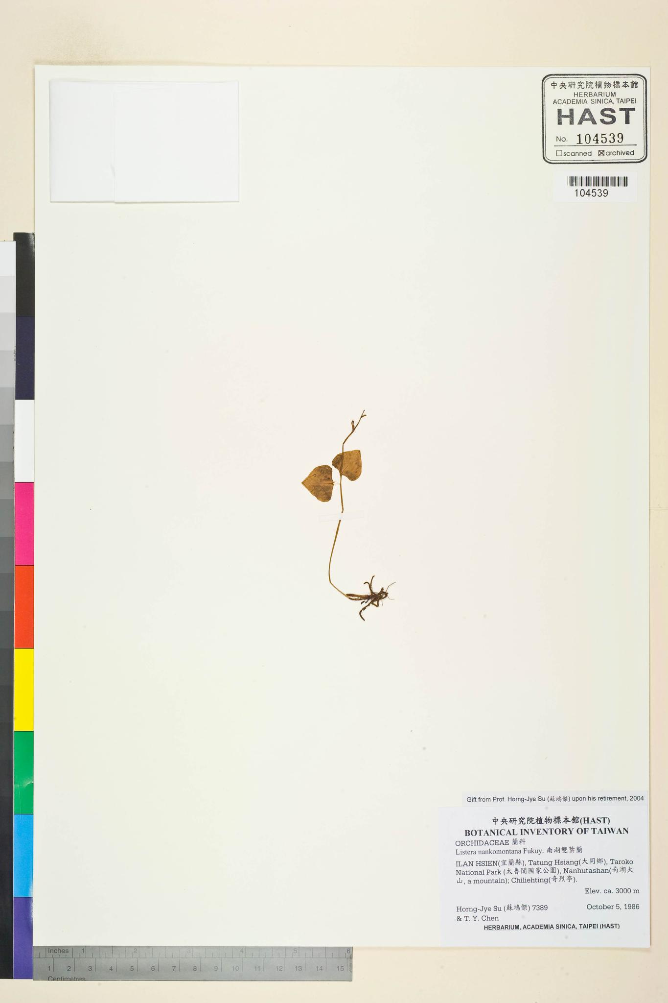 Sample image for viewer