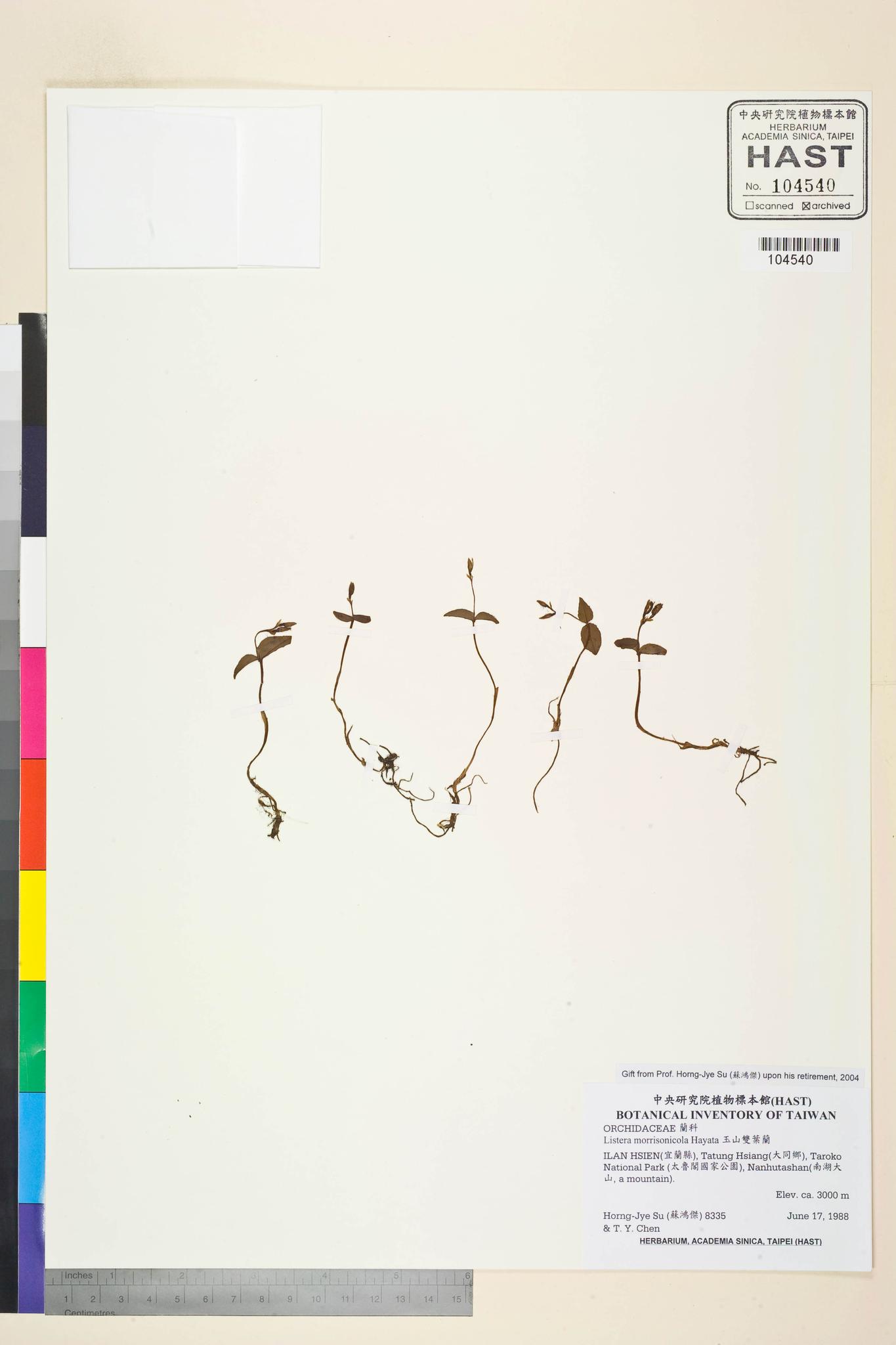 Sample image for viewer