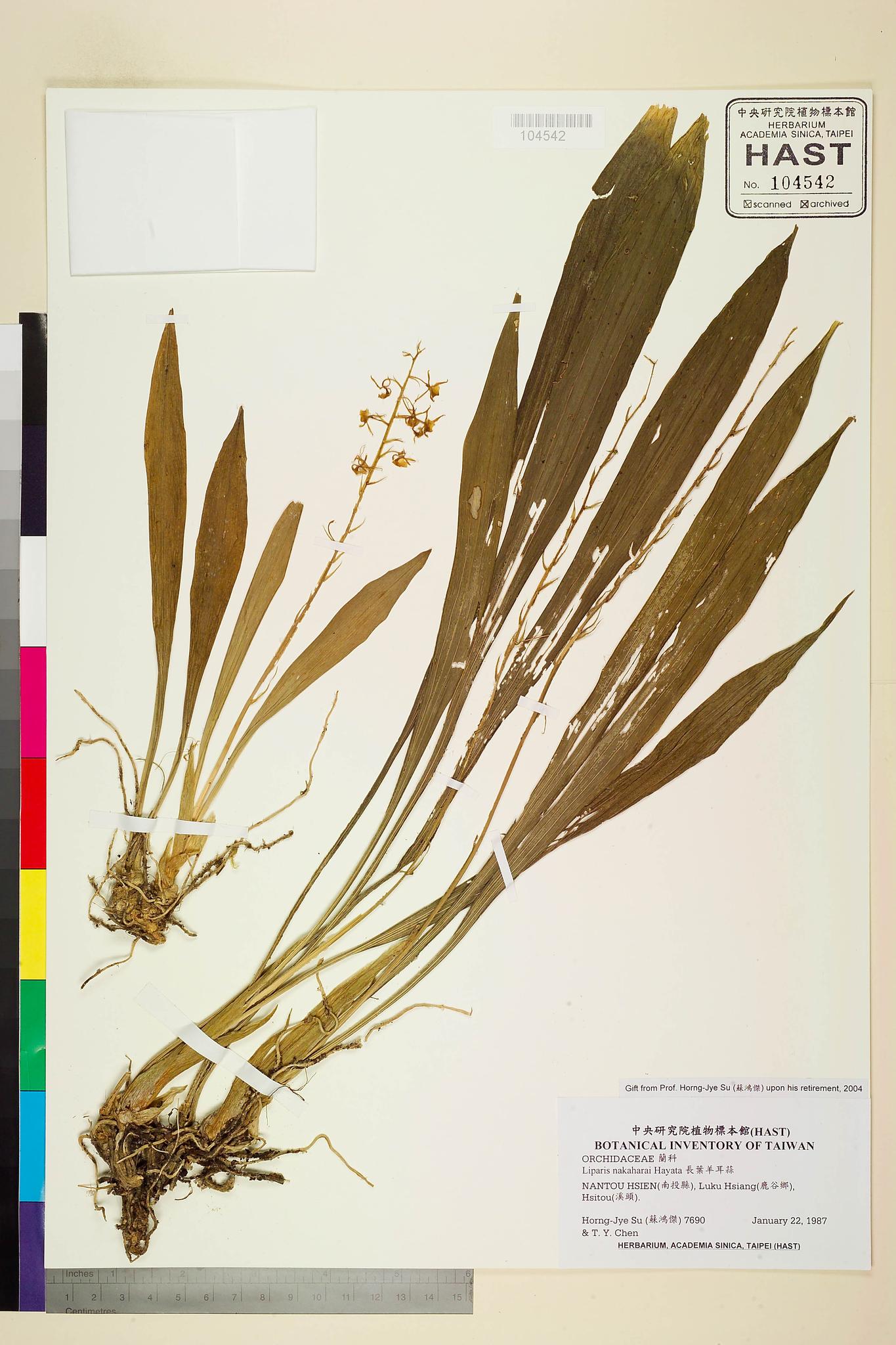 Sample image for viewer