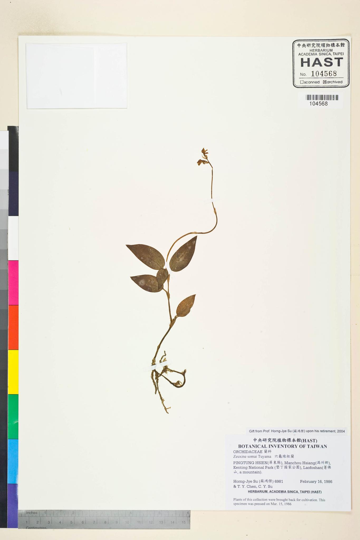 Sample image for viewer