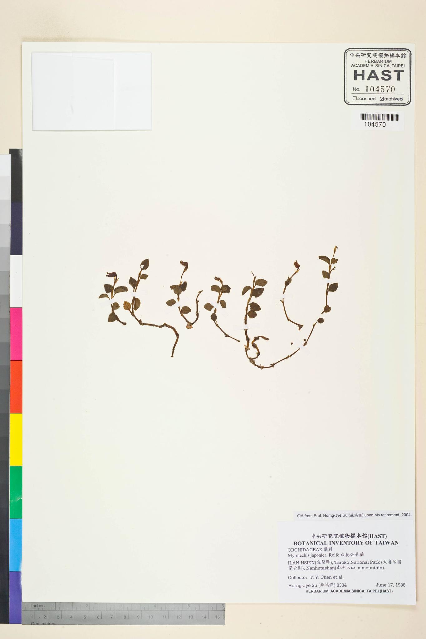 Sample image for viewer