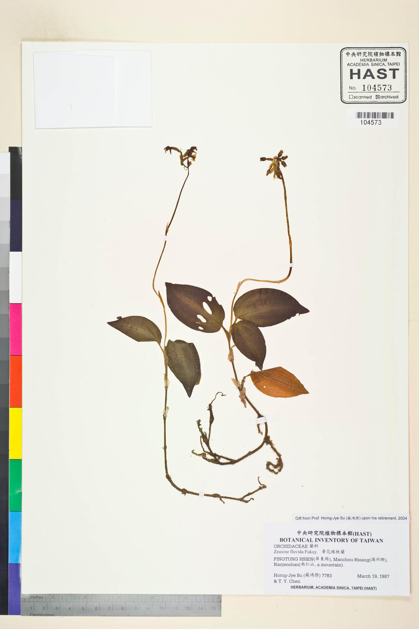 Sample image for viewer