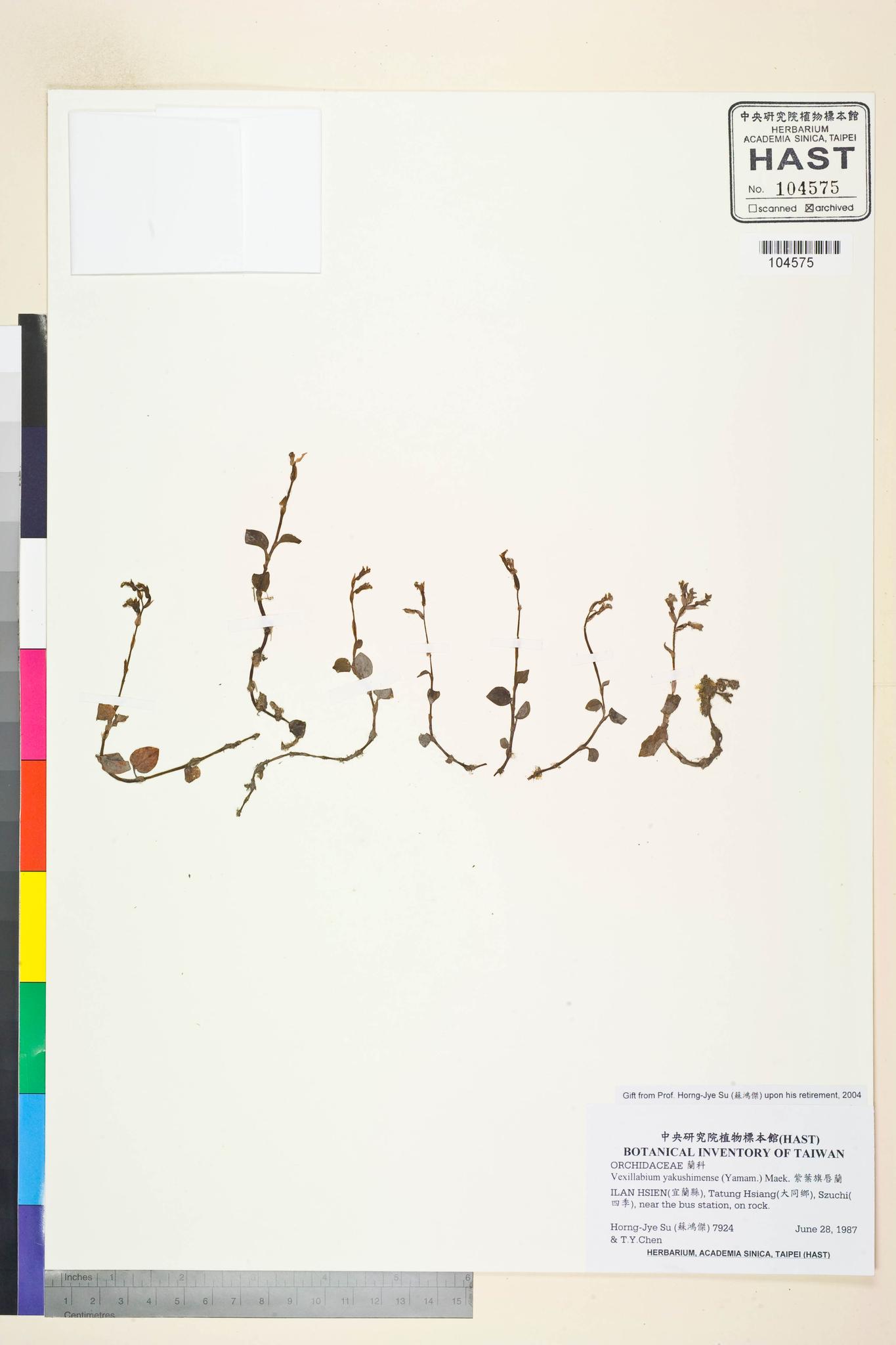 Sample image for viewer