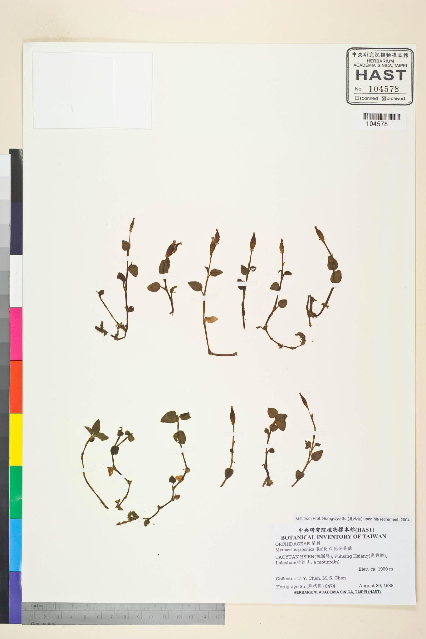 Sample image for viewer