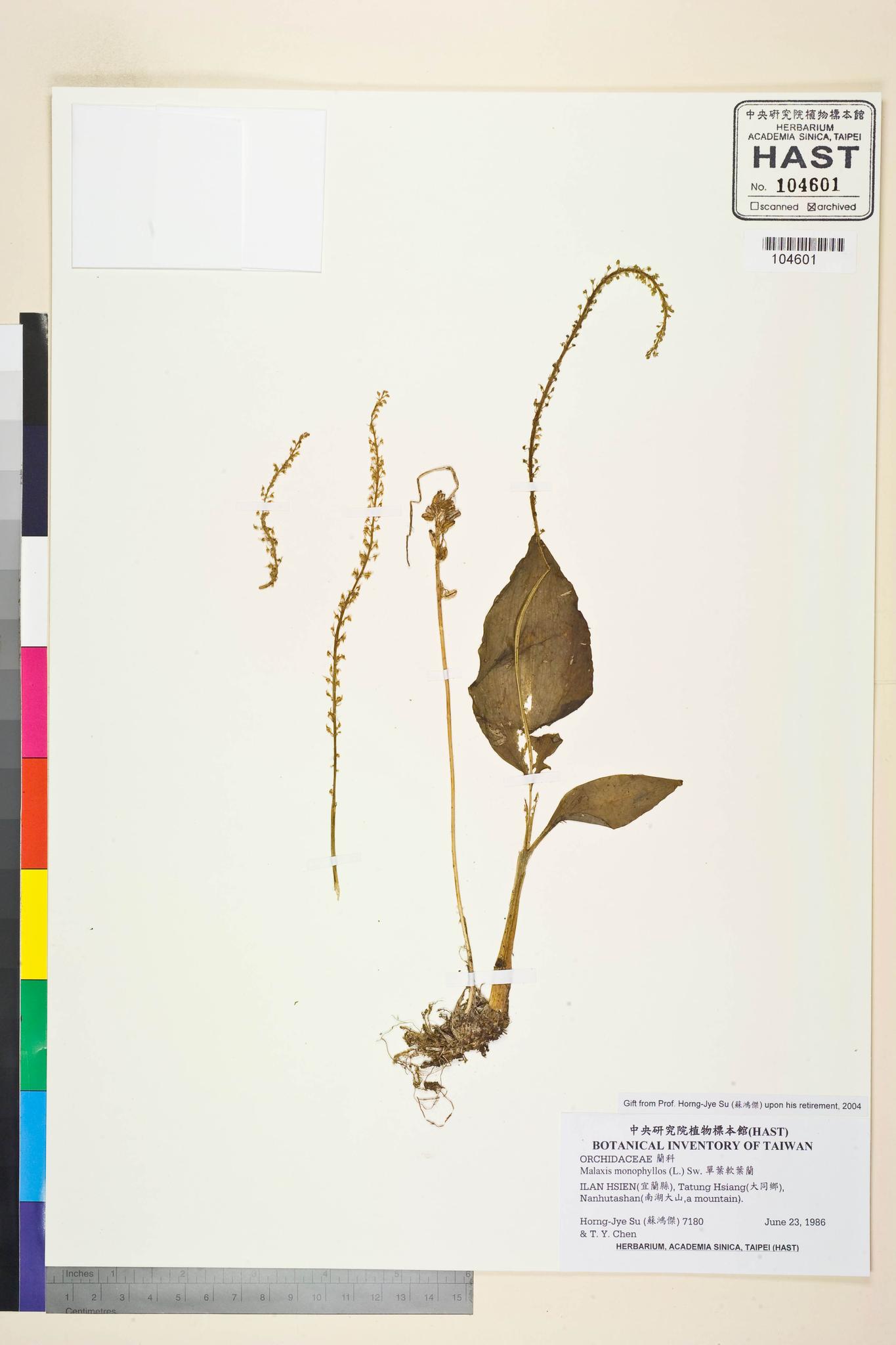 Sample image for viewer