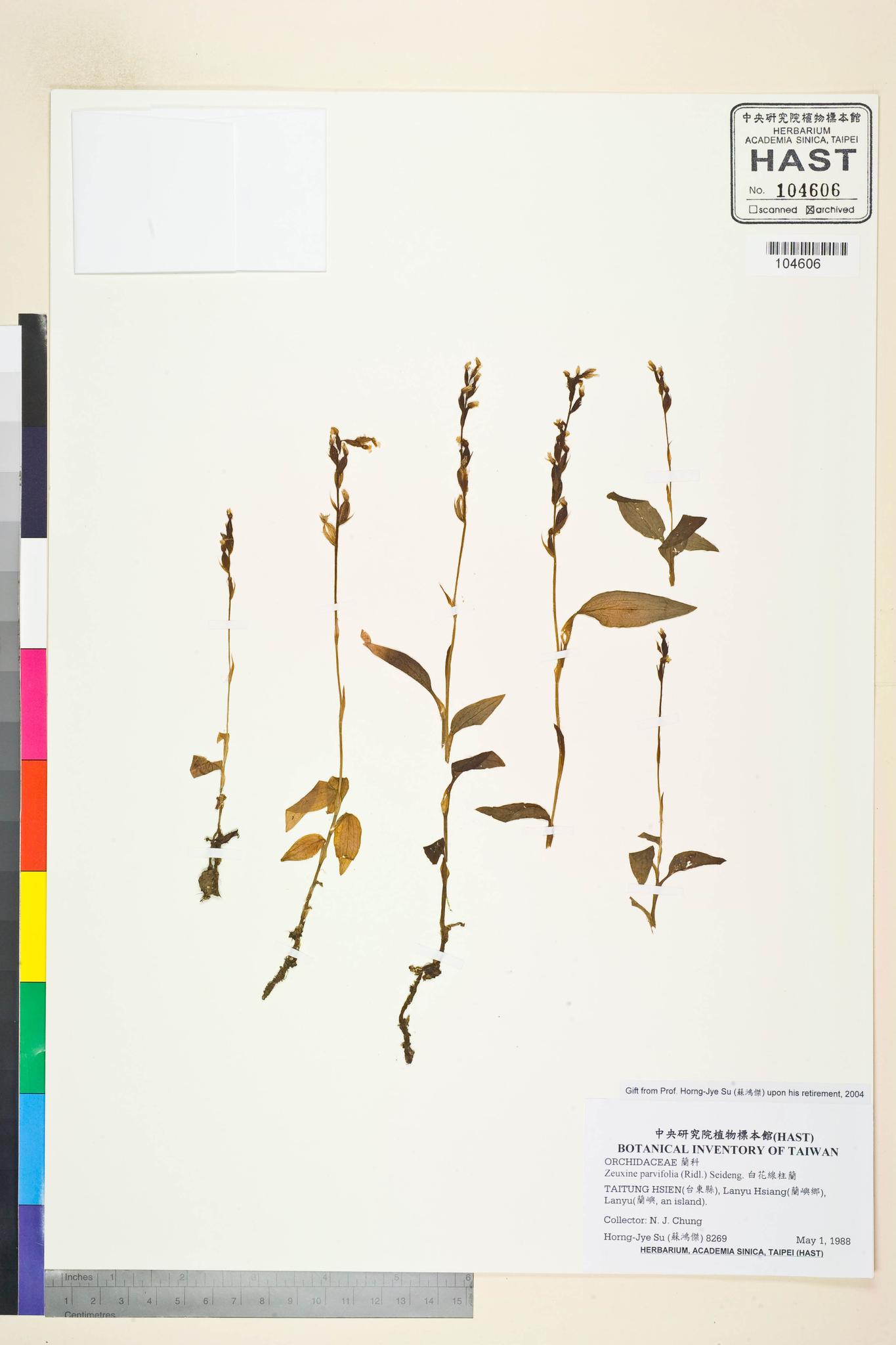 Sample image for viewer