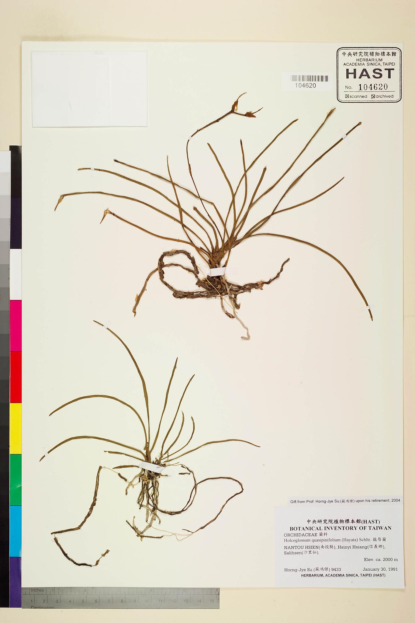 Sample image for viewer