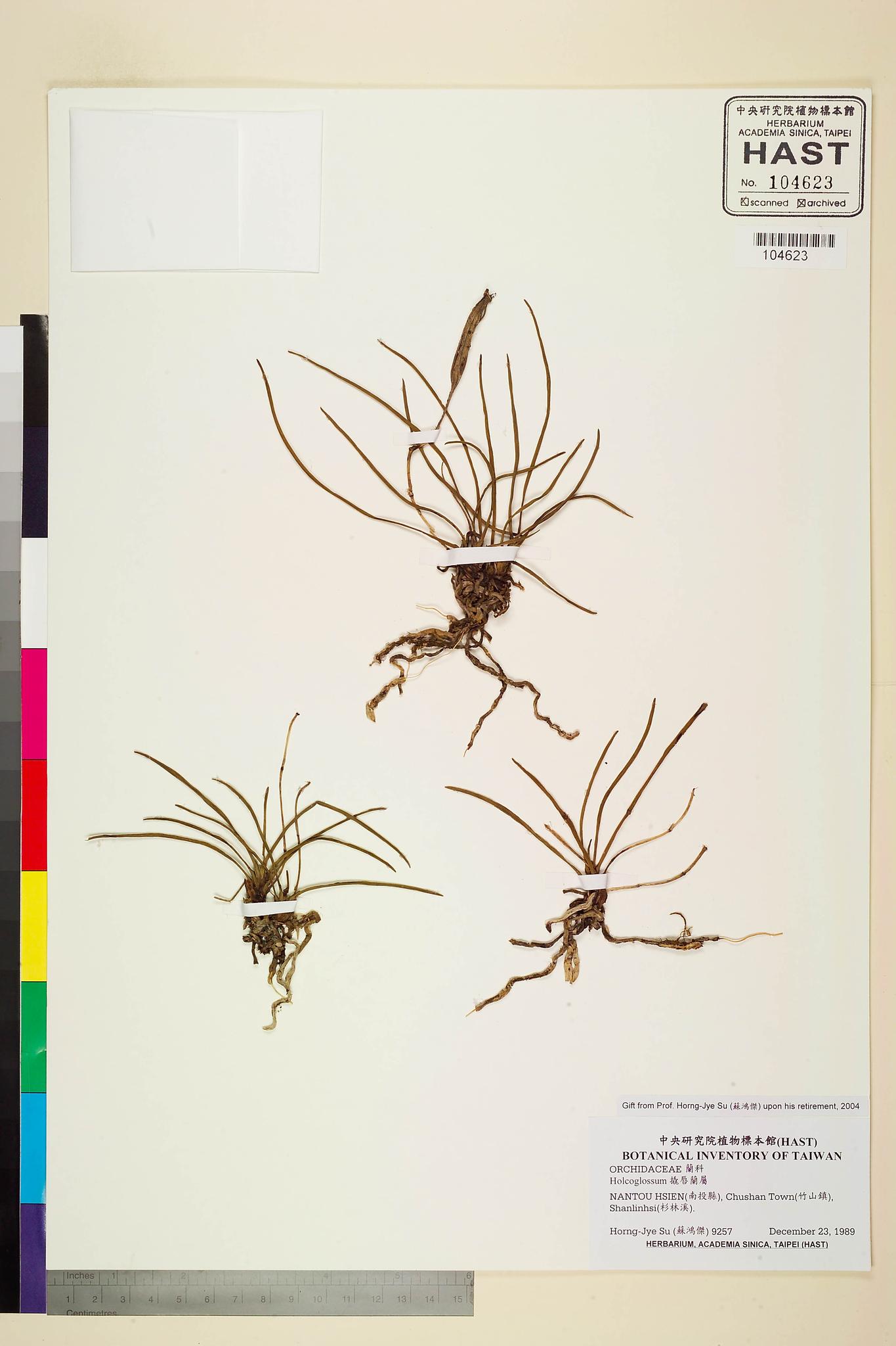 Sample image for viewer