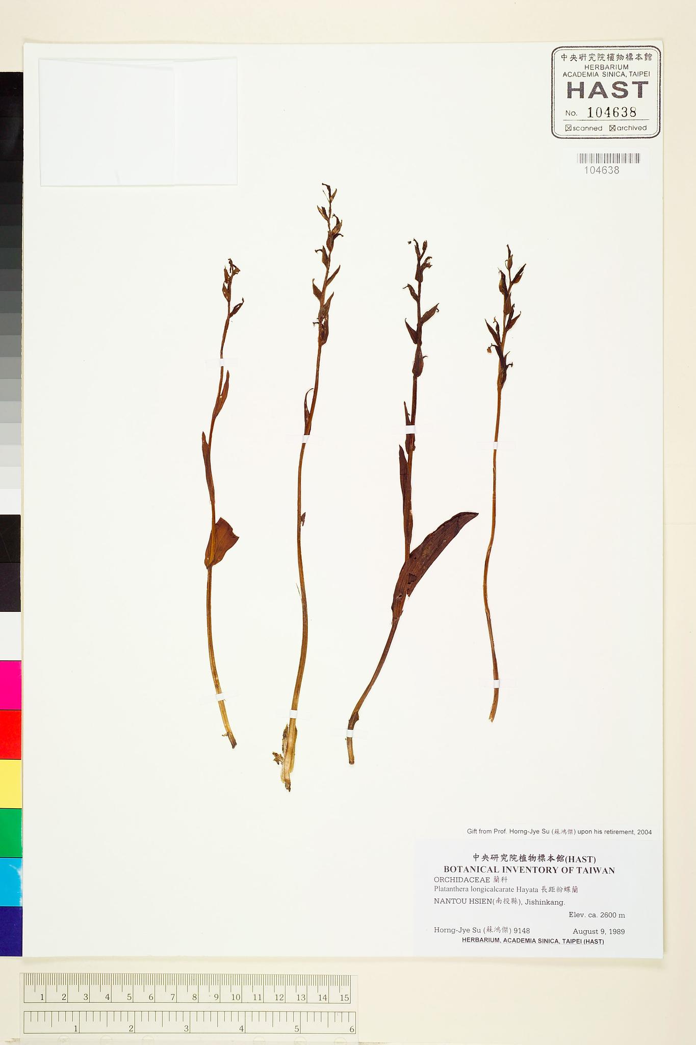 Sample image for viewer