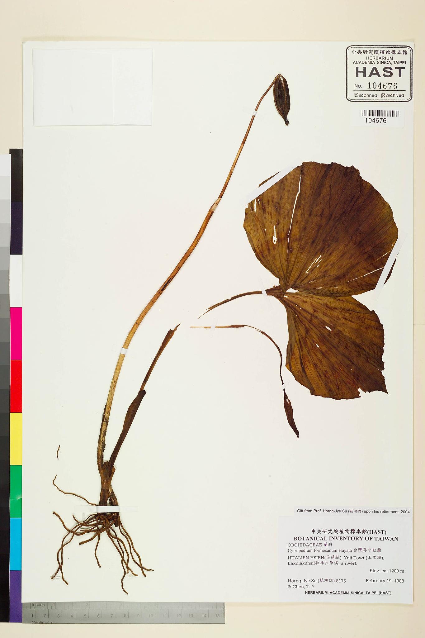 Sample image for viewer