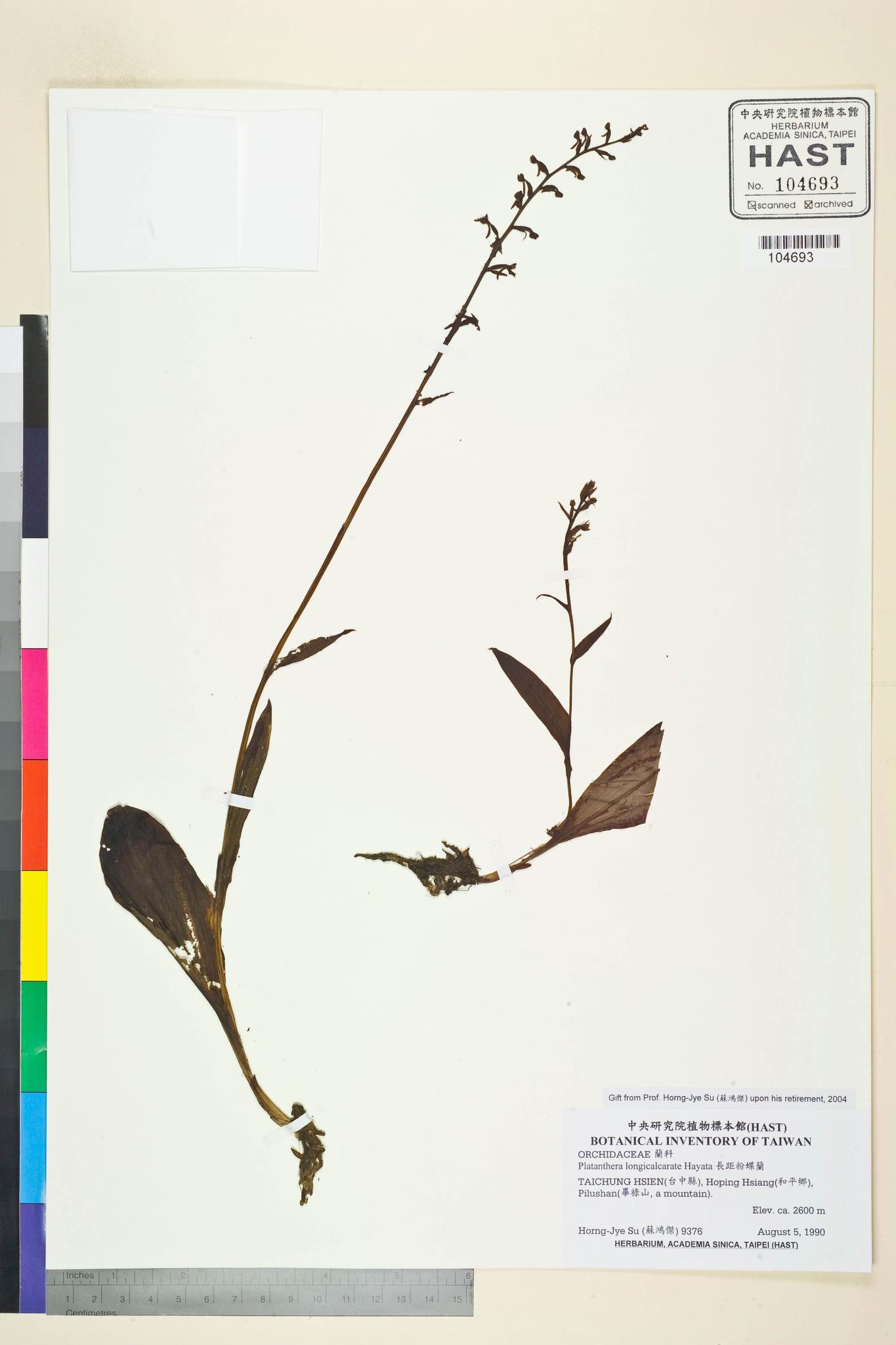 Sample image for viewer