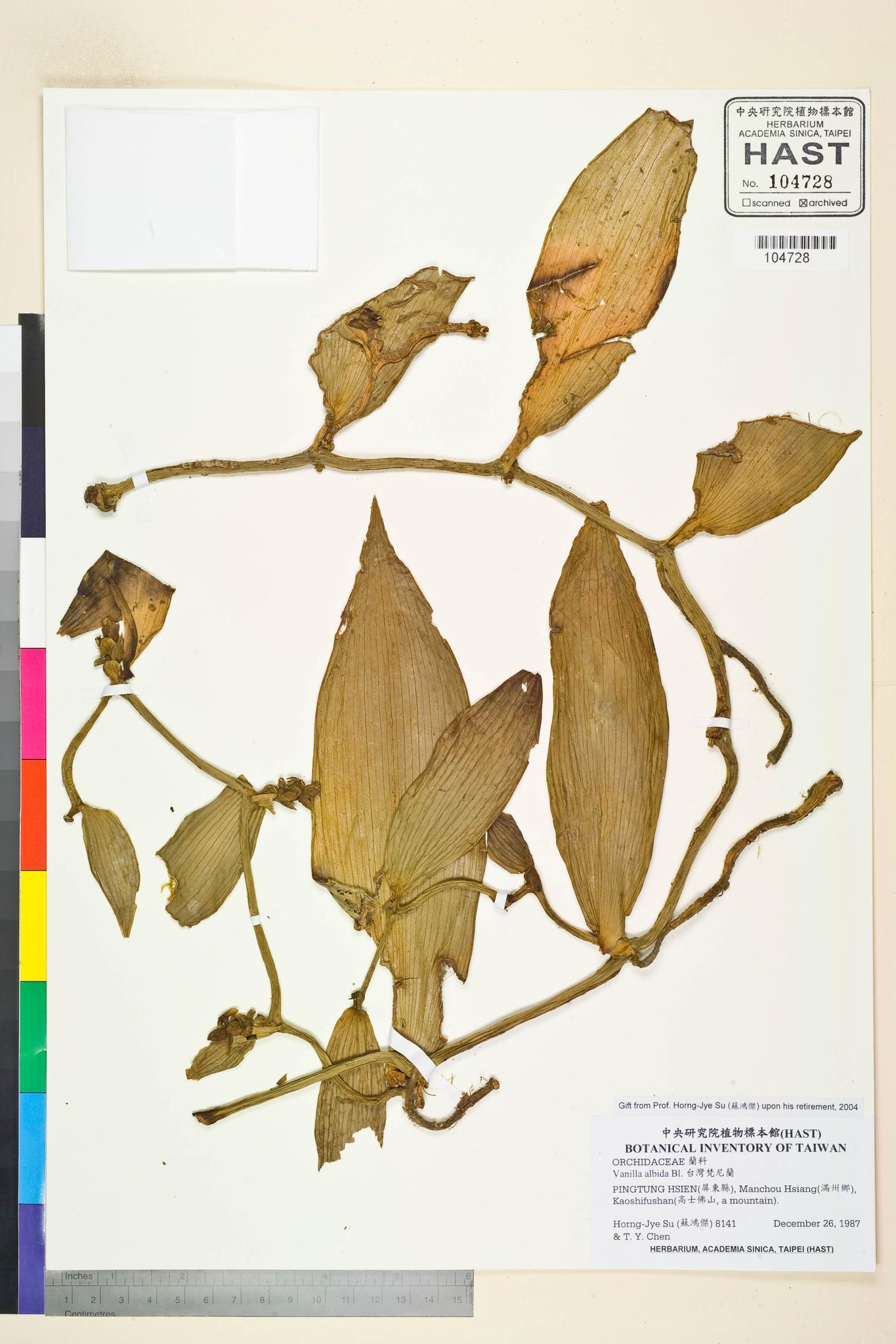 Sample image for viewer