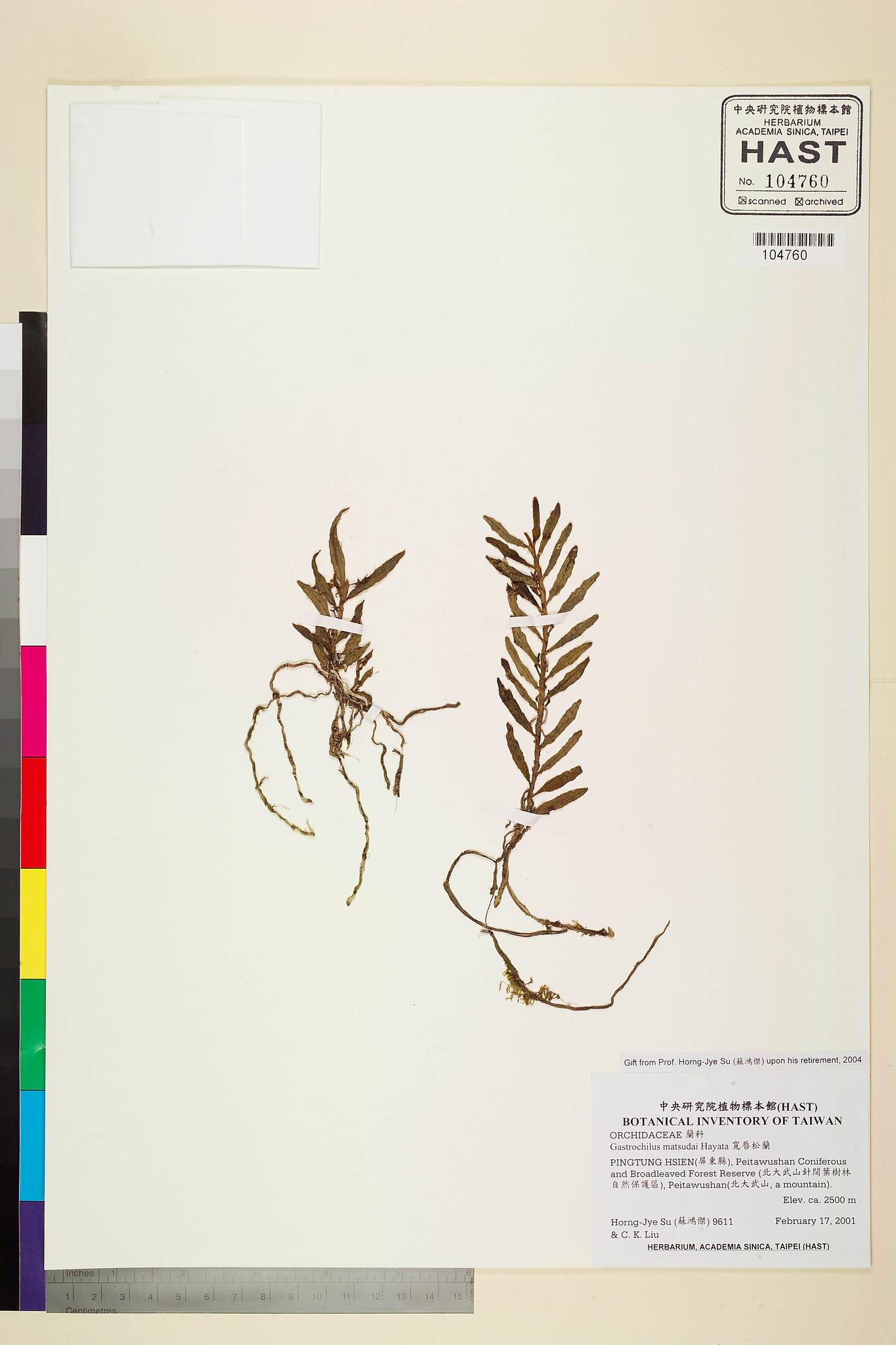 Sample image for viewer