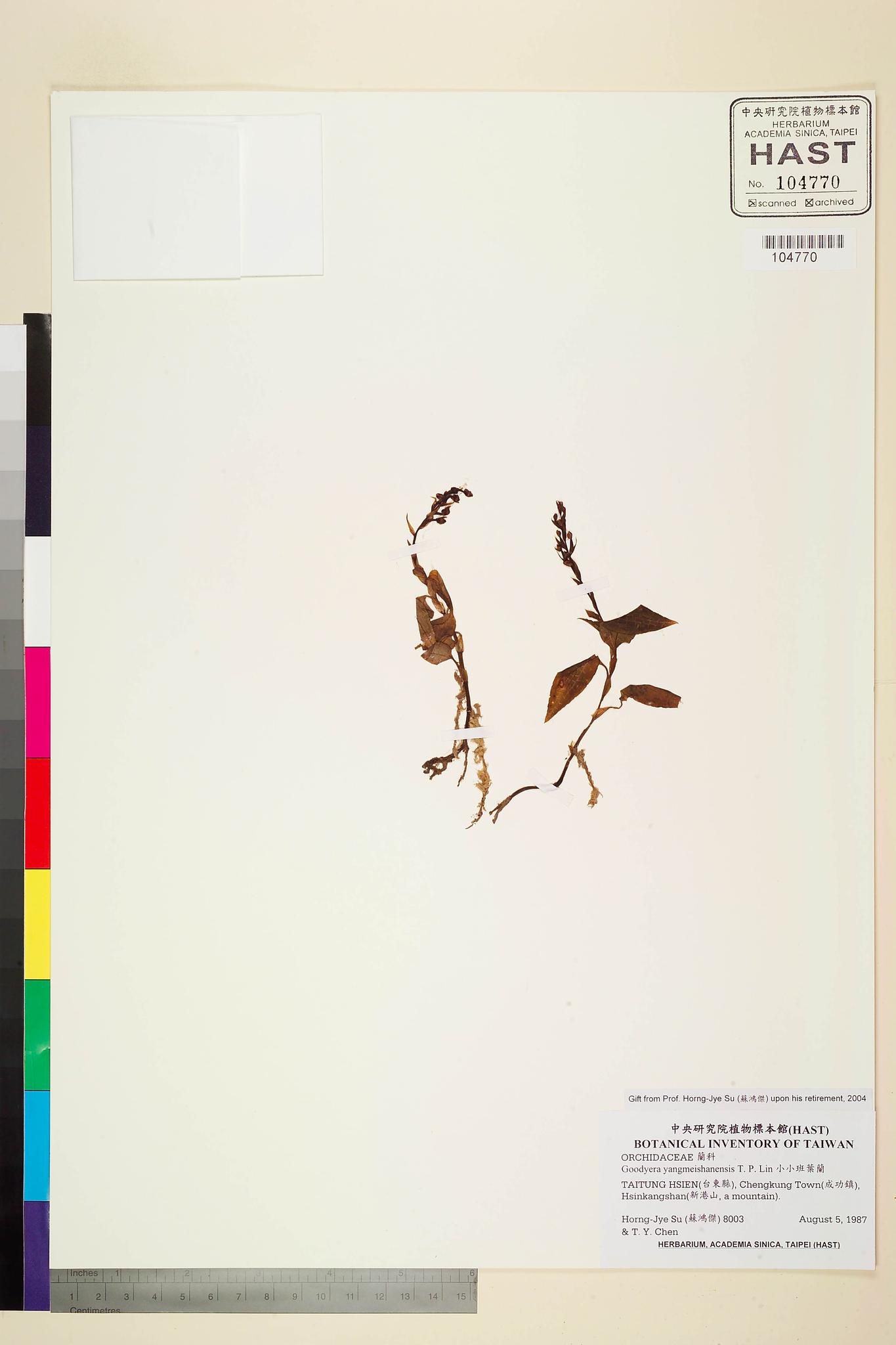 Sample image for viewer