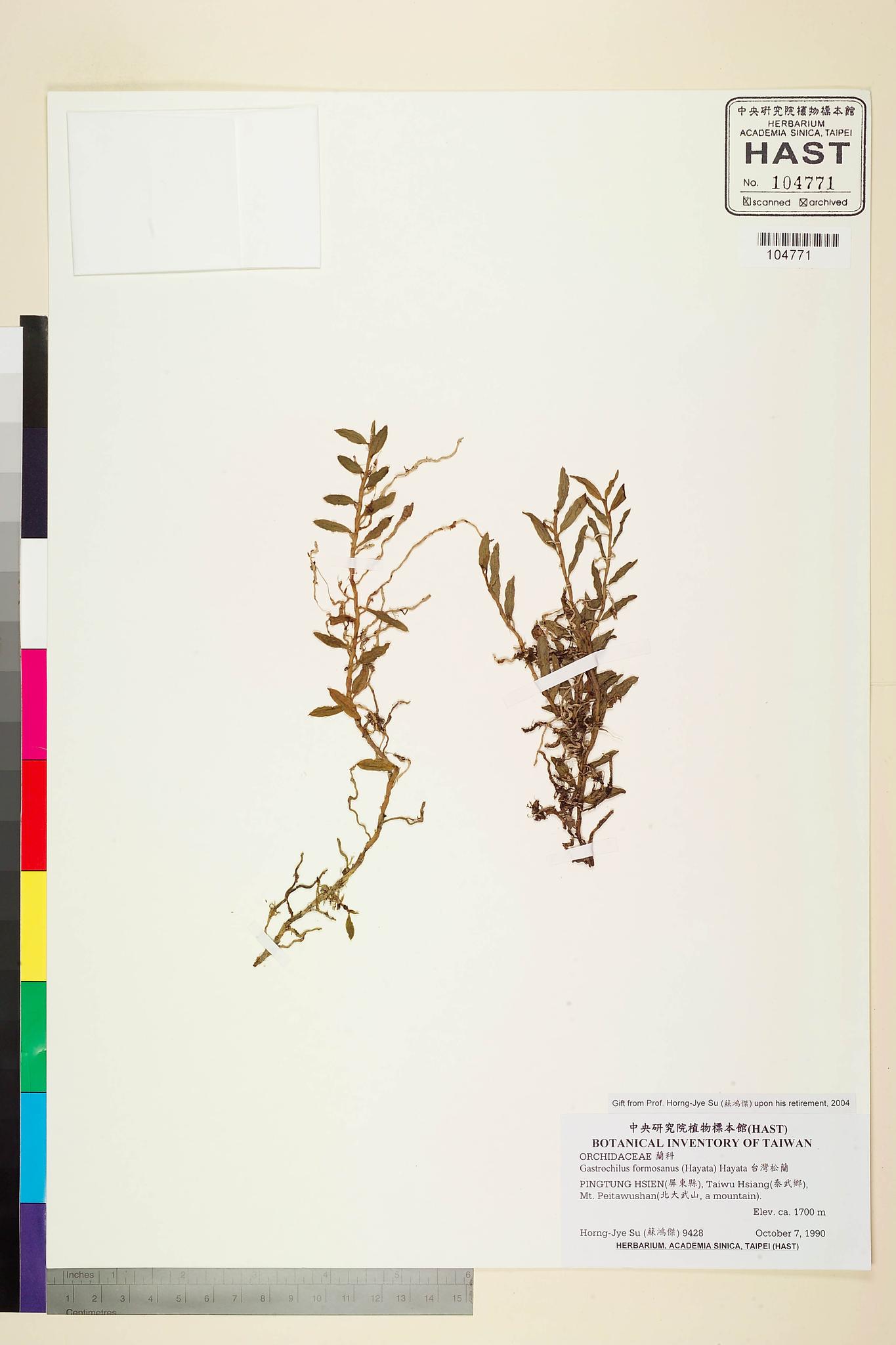 Sample image for viewer