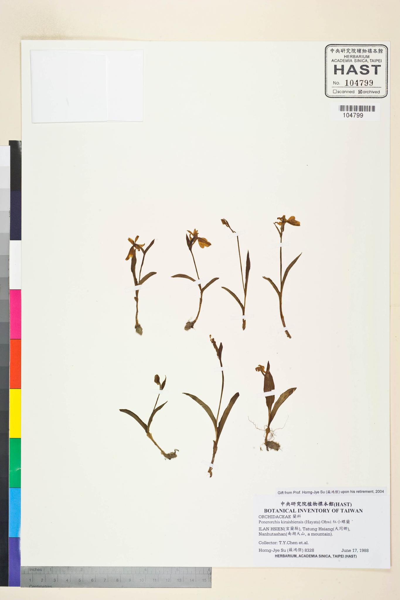 Sample image for viewer